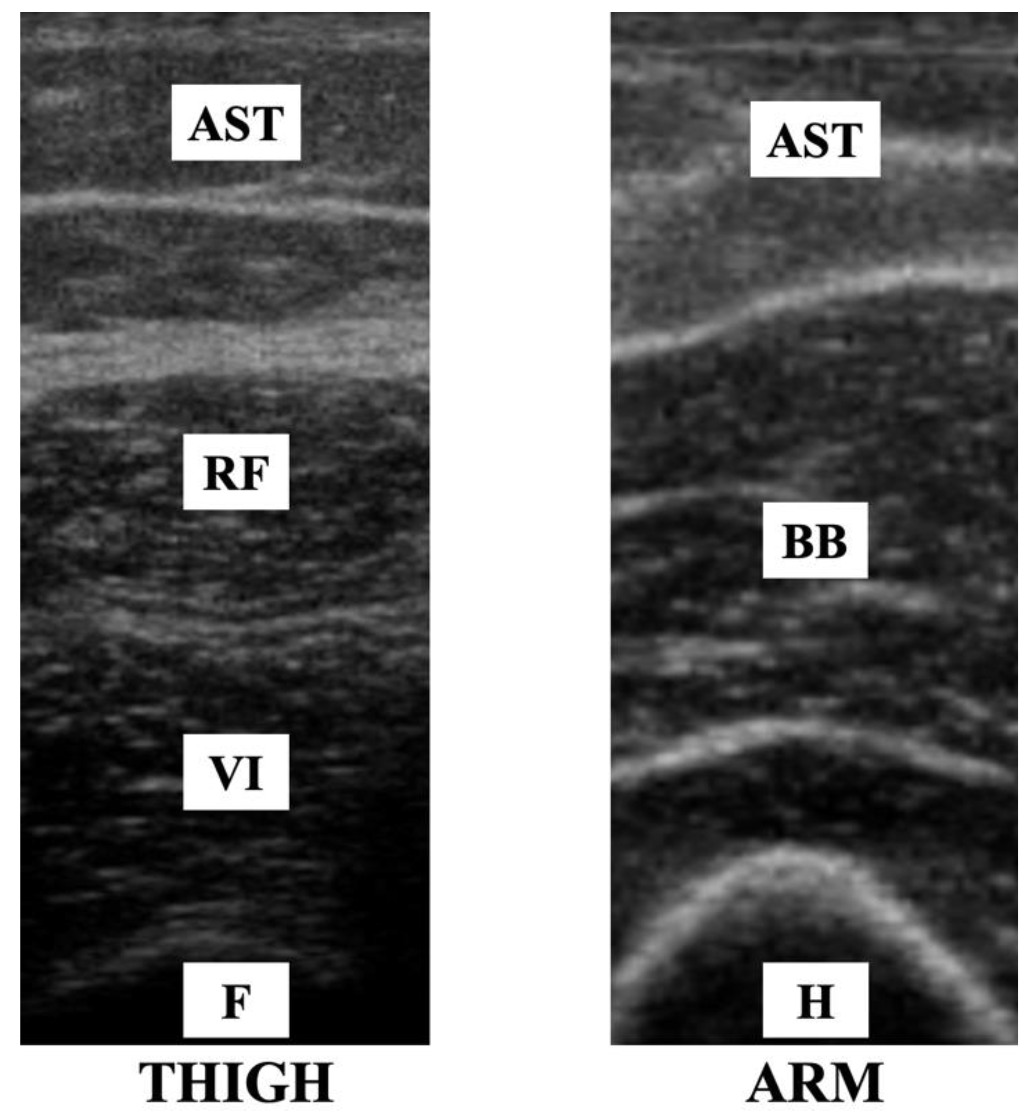 Diagnostics 12 02743 g002 Diagnostics 12 02743 g002