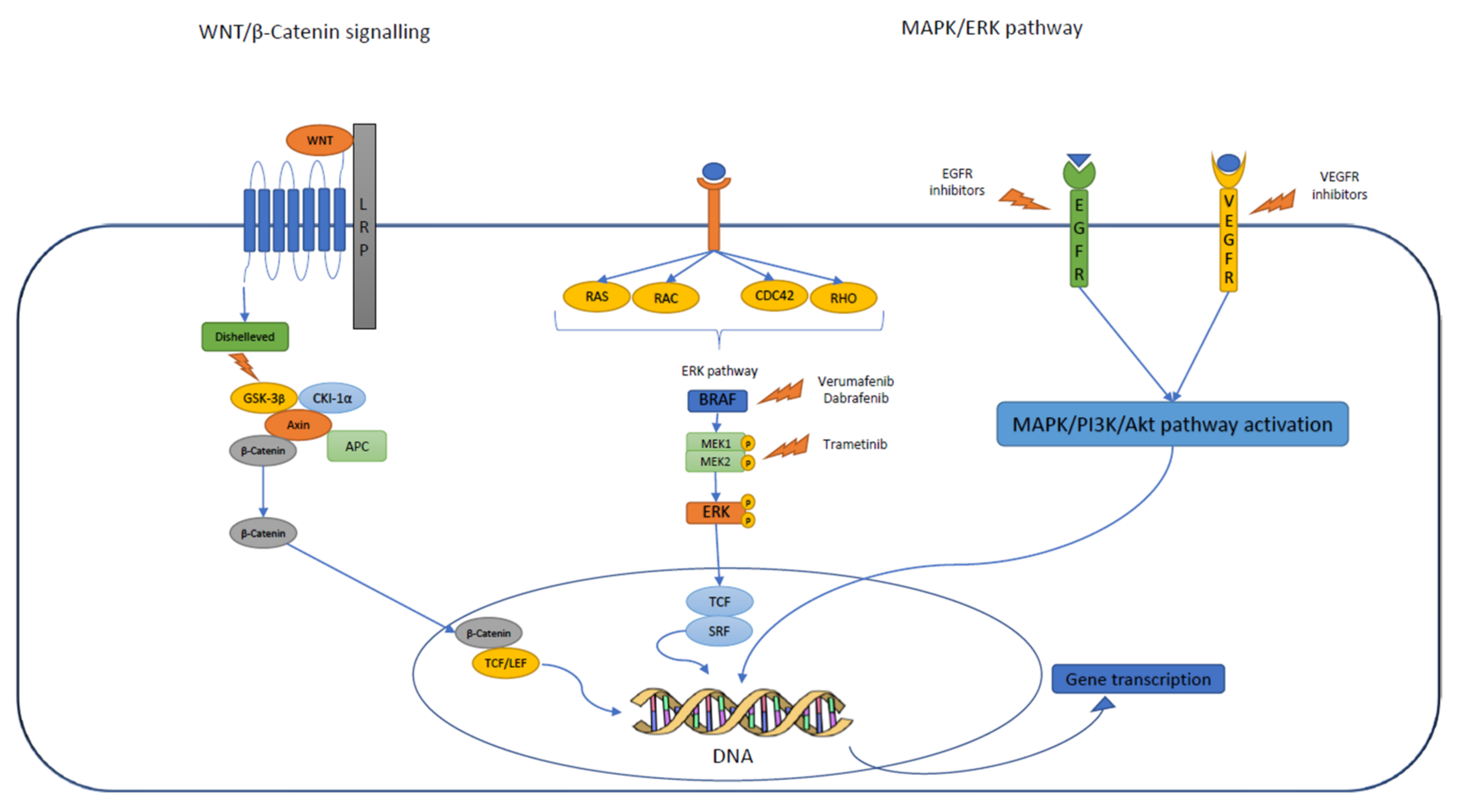 Diagnostics 12 02745 g003