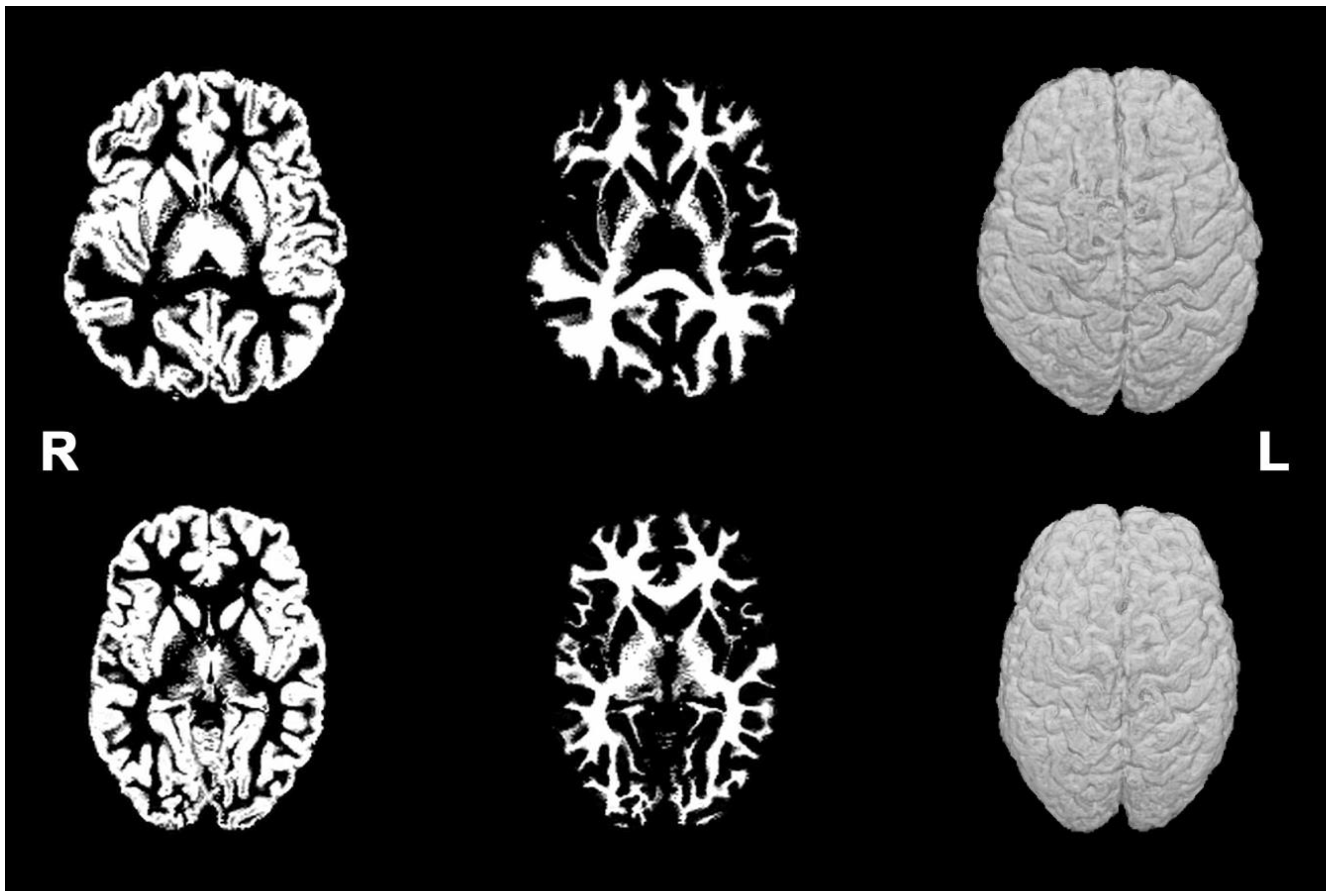 Diagnostics 12 02748 g002