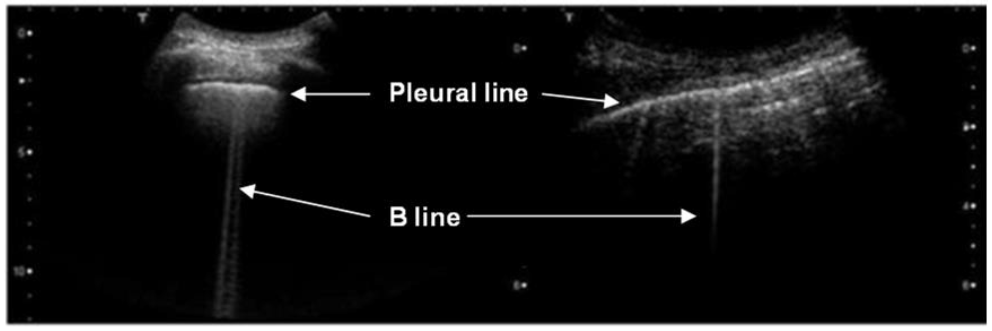 Diagnostics 12 02751 g002