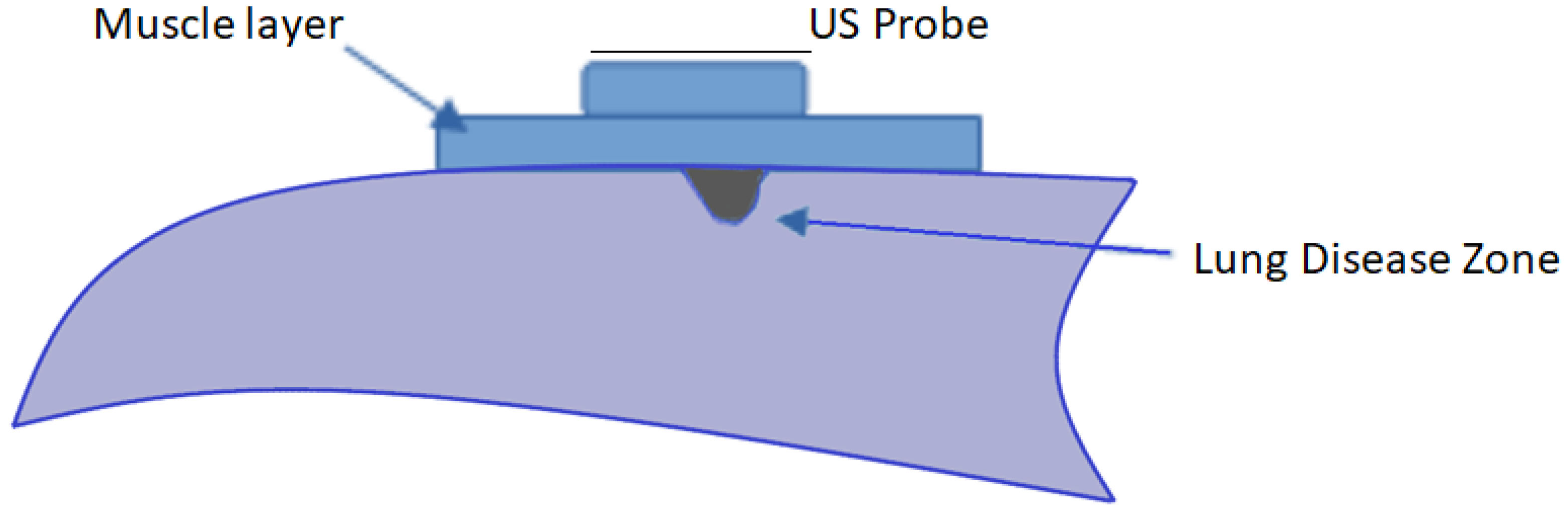 Diagnostics 12 02751 g003