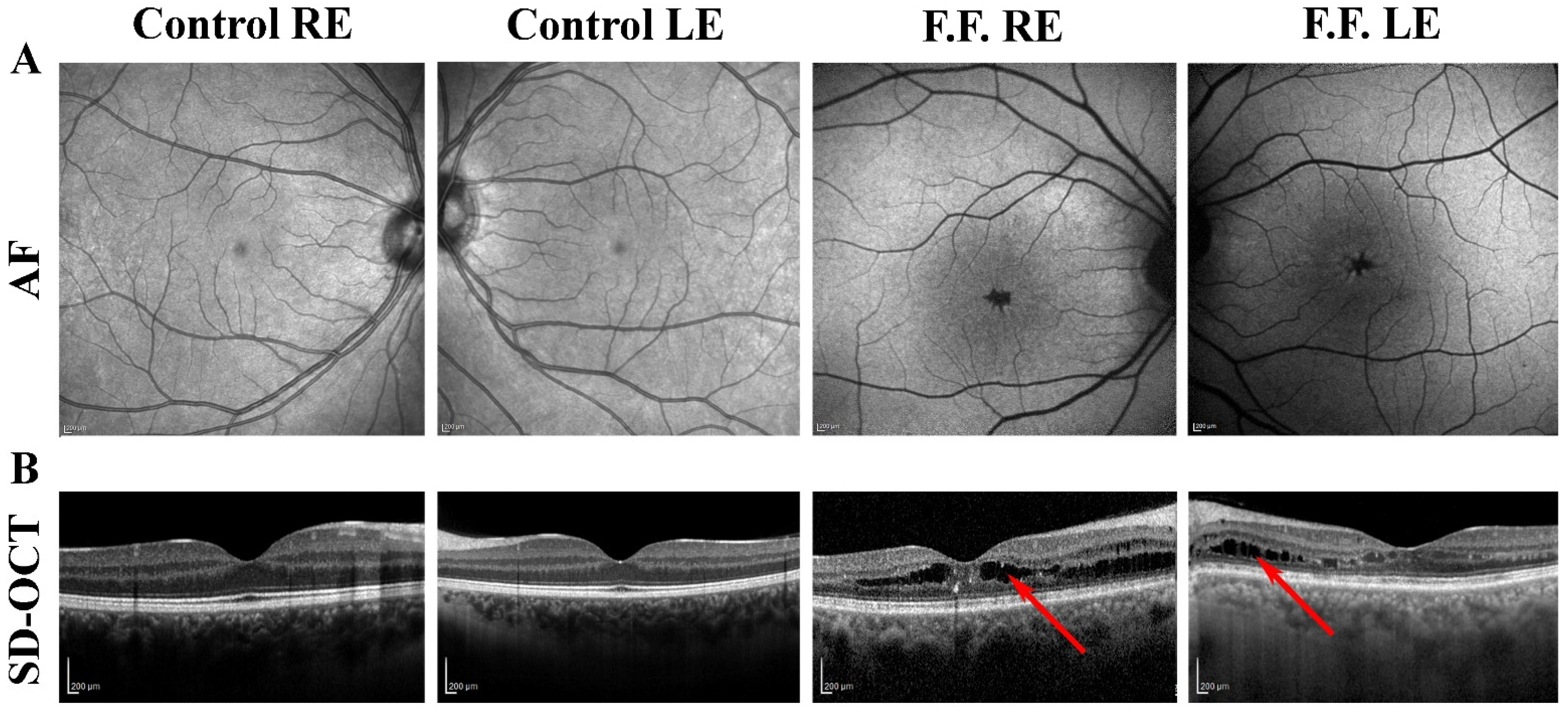 Diagnostics 12 02753 g001