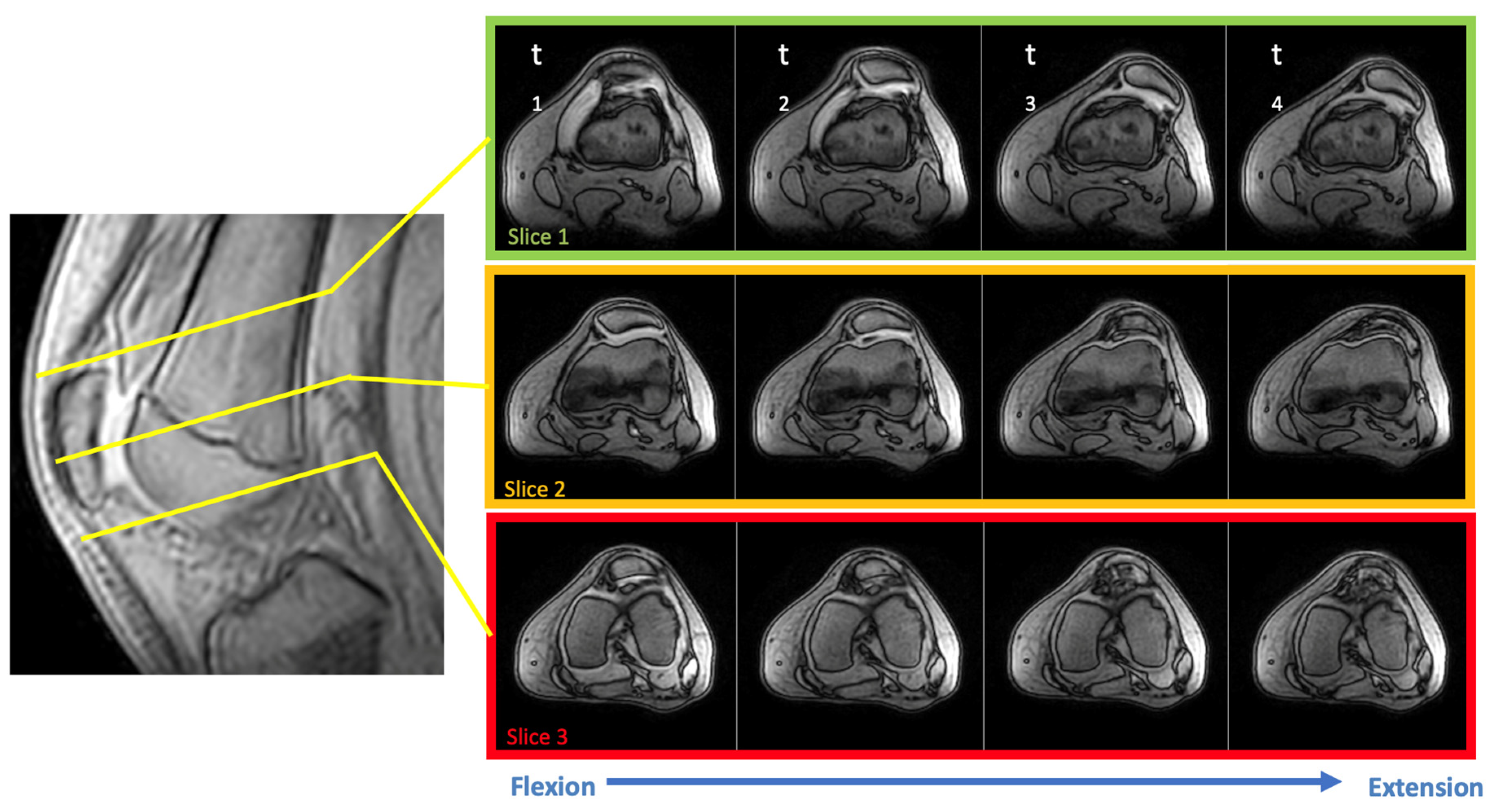 Diagnostics 12 02761 g005