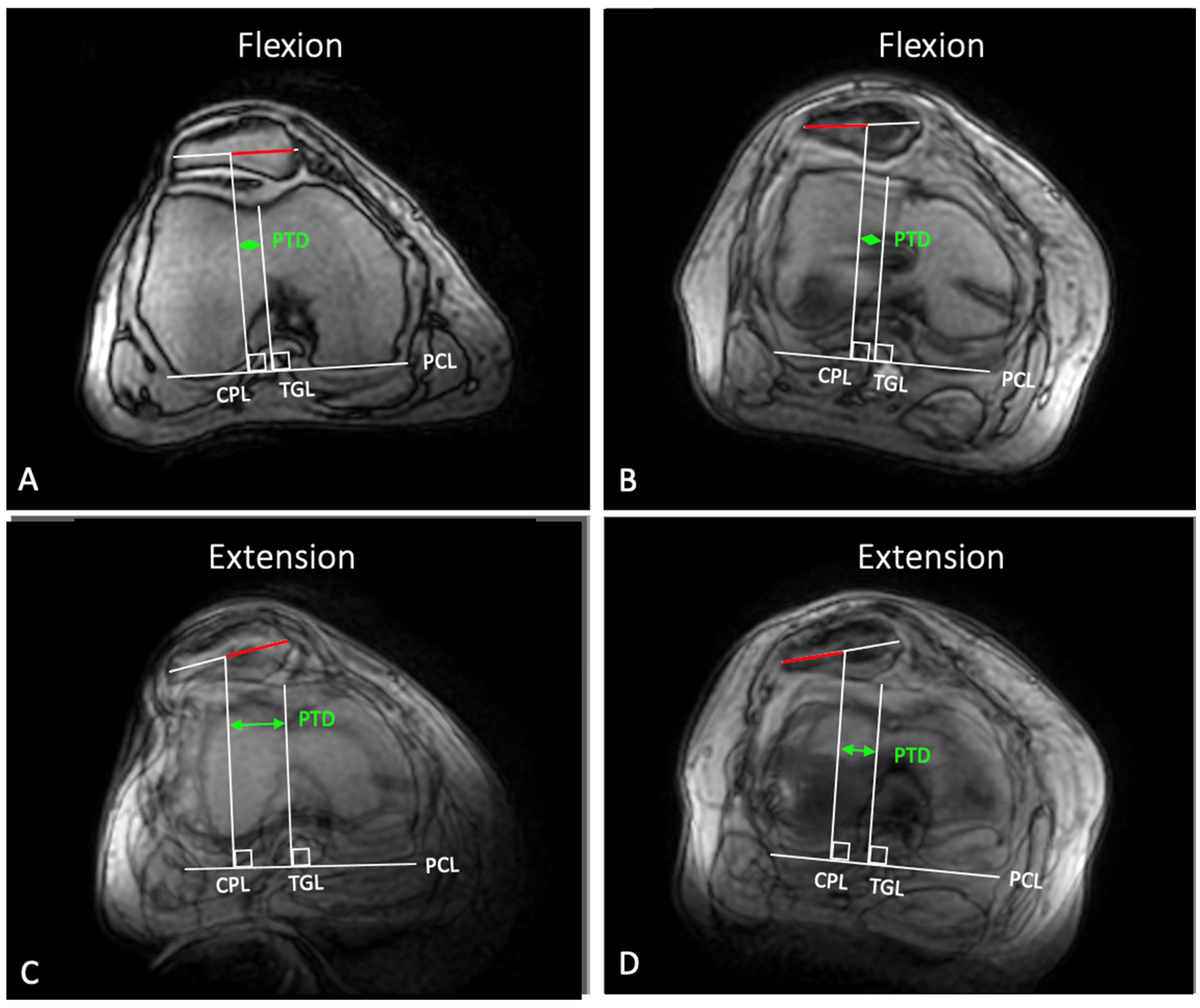Diagnostics 12 02761 g007