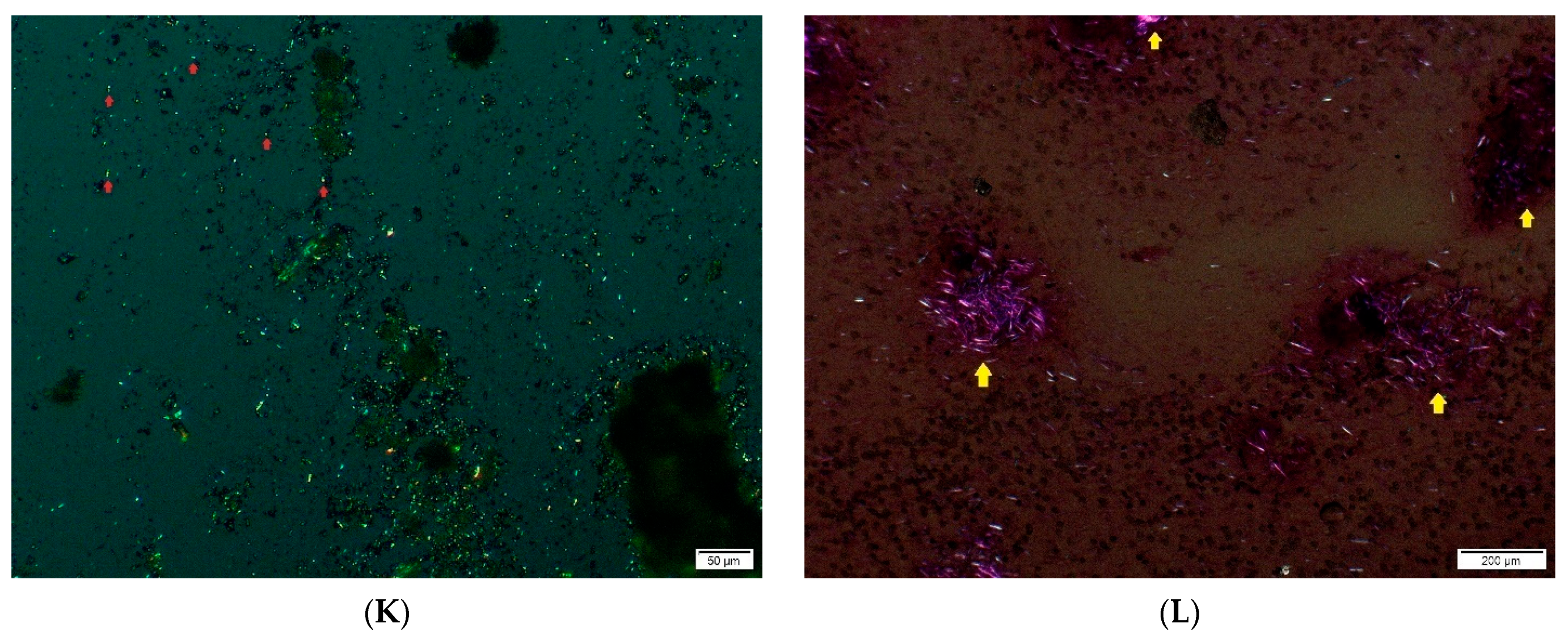 Diagnostics 12 02762 g002c