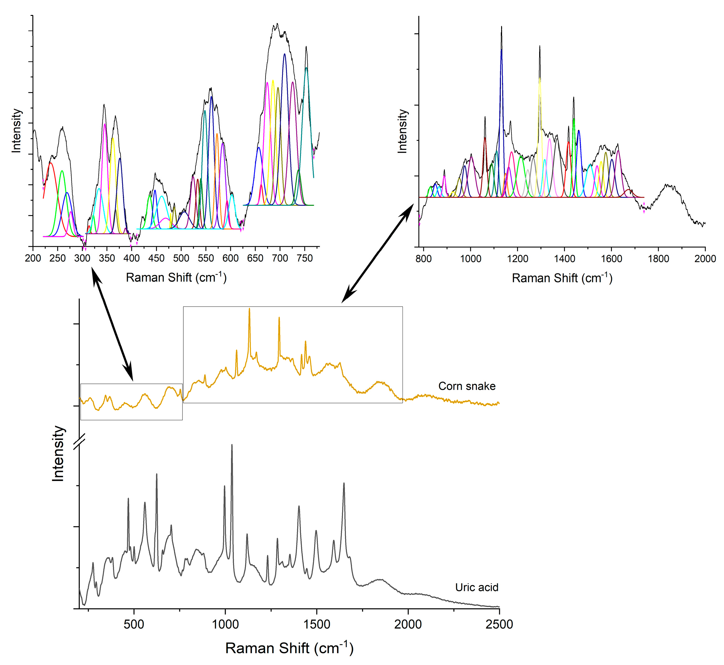 Diagnostics 12 02762 g005