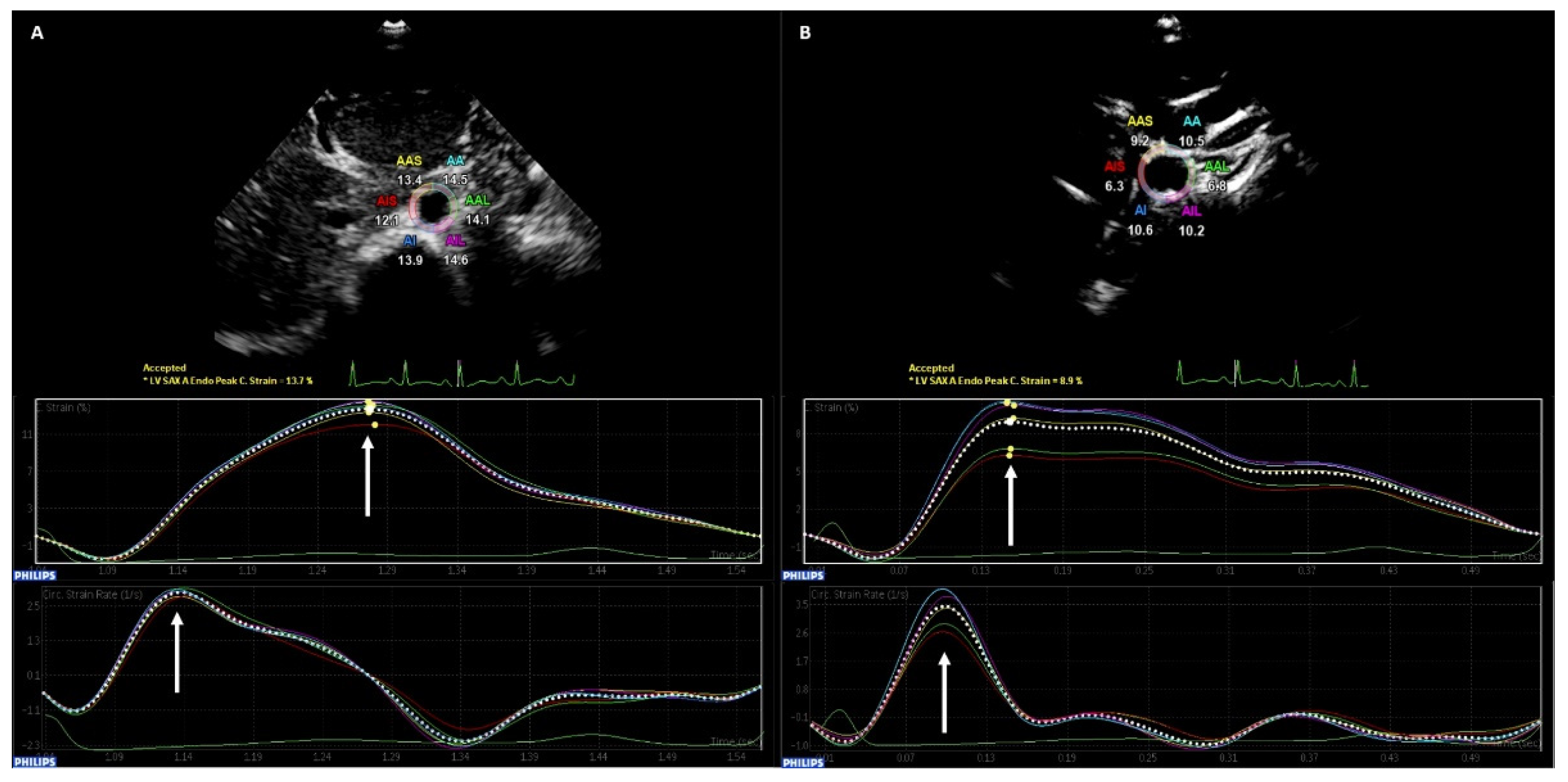 Diagnostics 12 02763 g001 Diagnostics 12 02763 g001