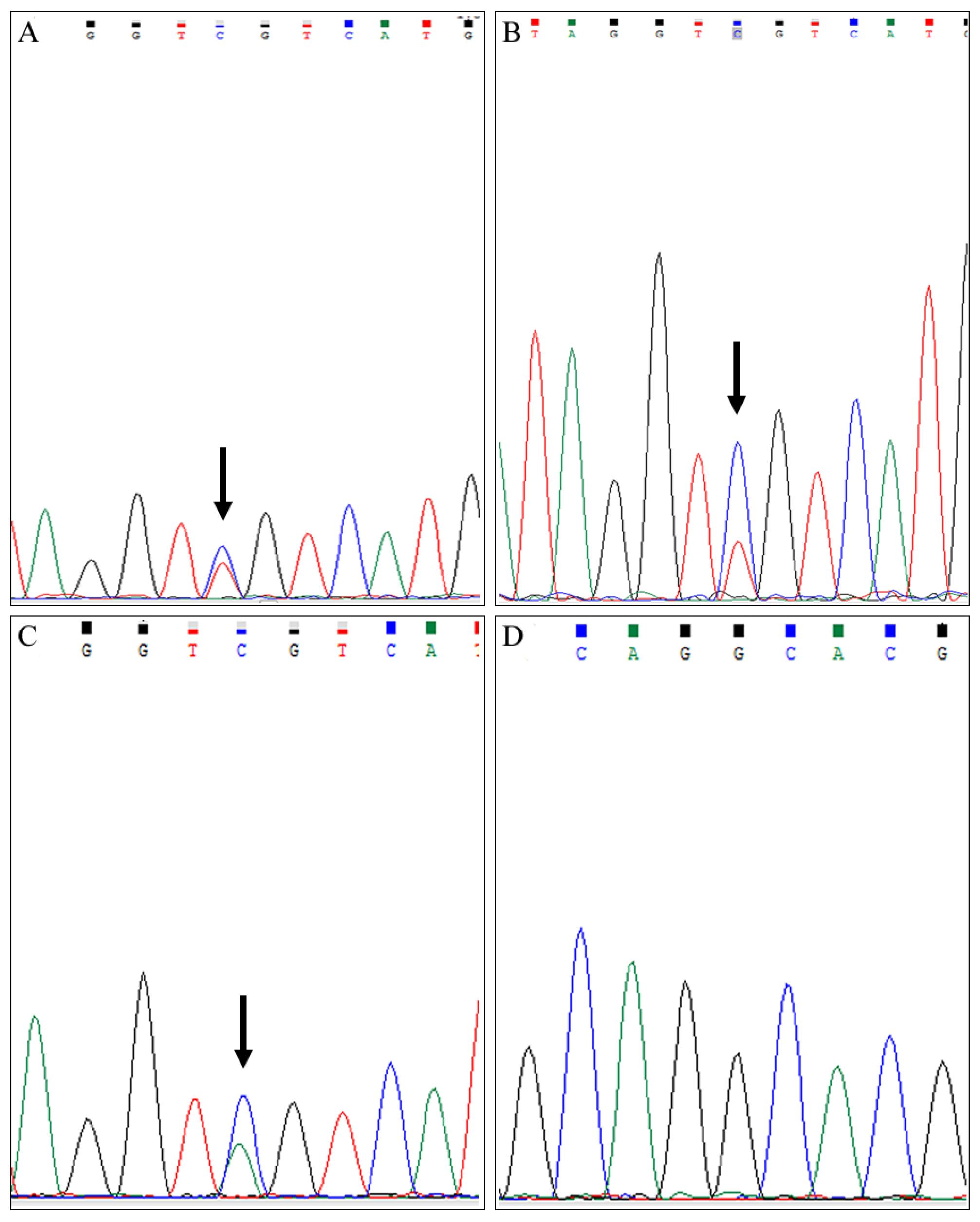 Diagnostics 12 02764 g002