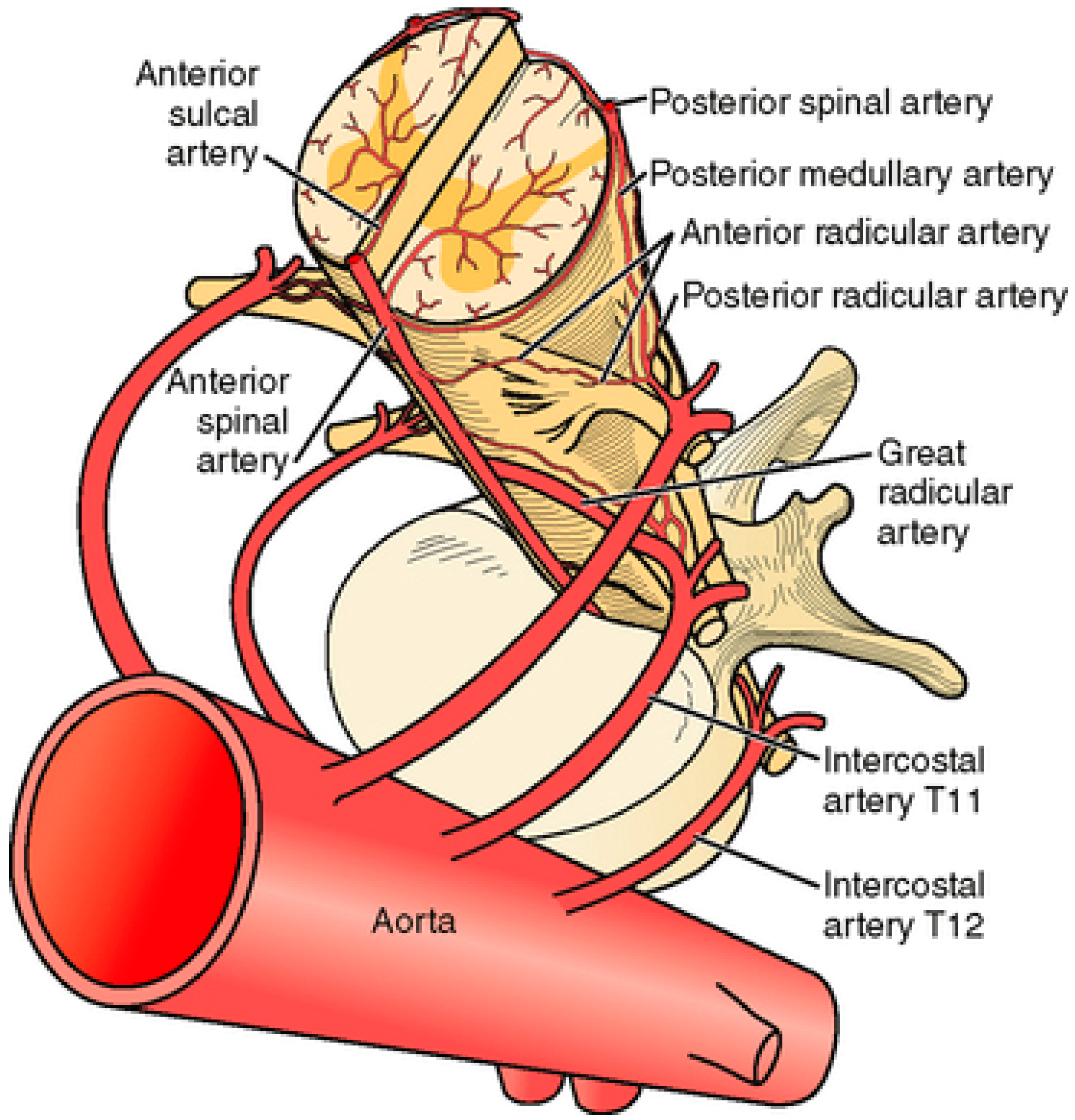 Diagnostics 12 02781 g004 Diagnostics 12 02781 g004