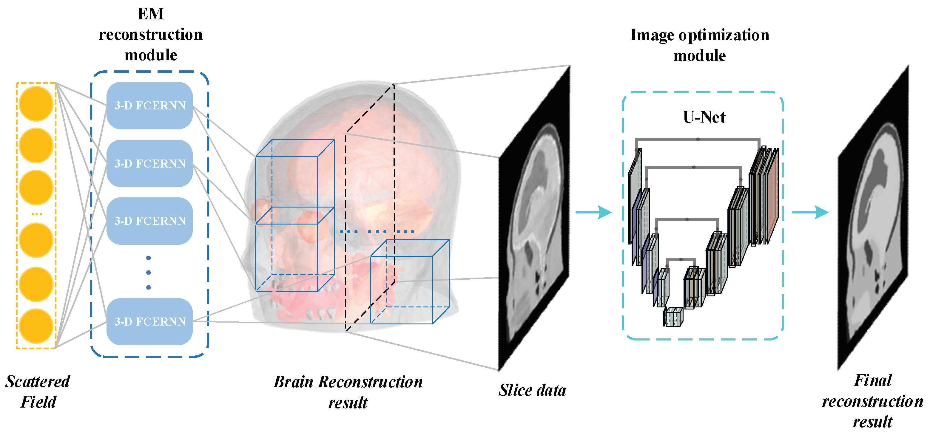 Diagnostics 12 02786 g001
