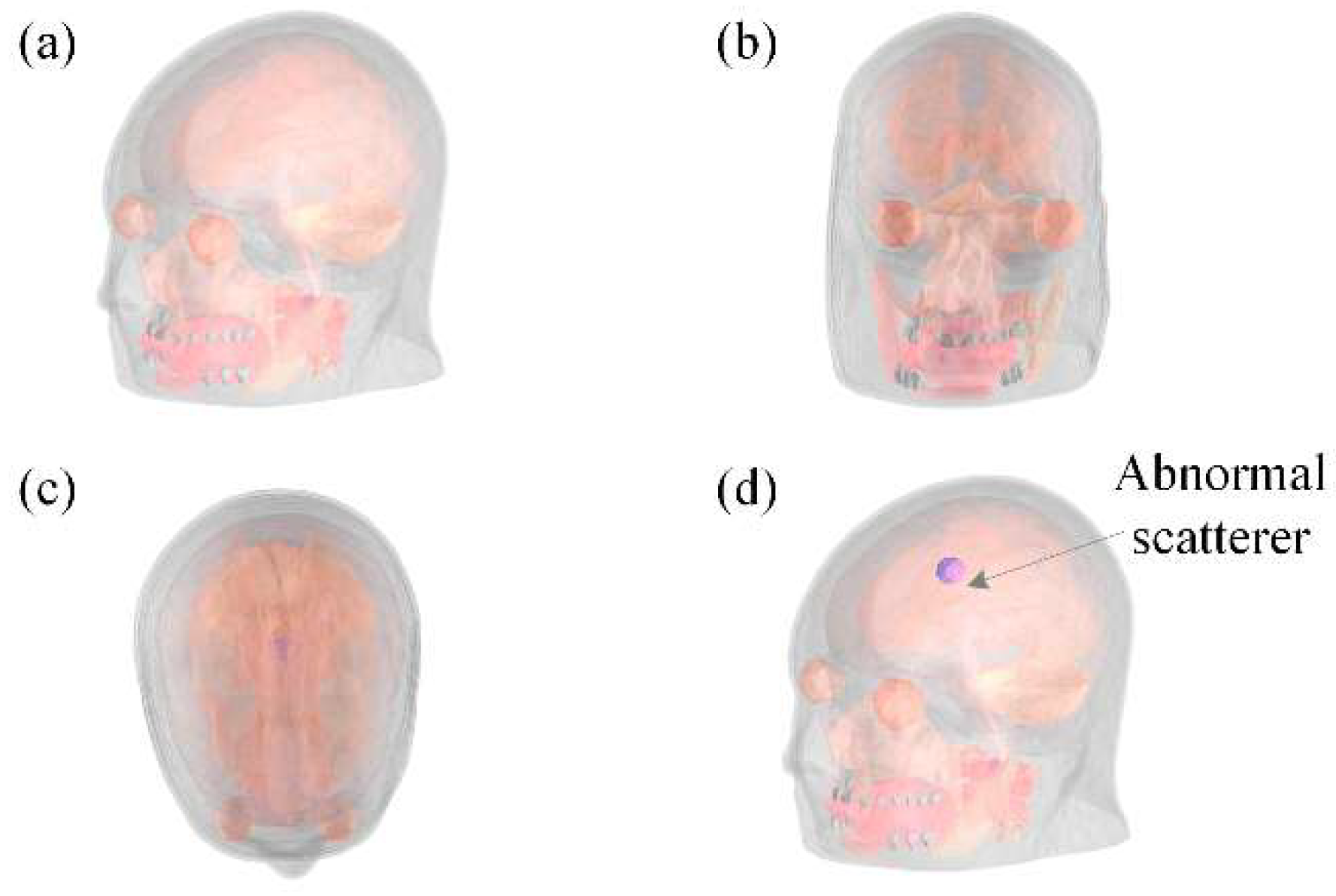 Diagnostics 12 02786 g005