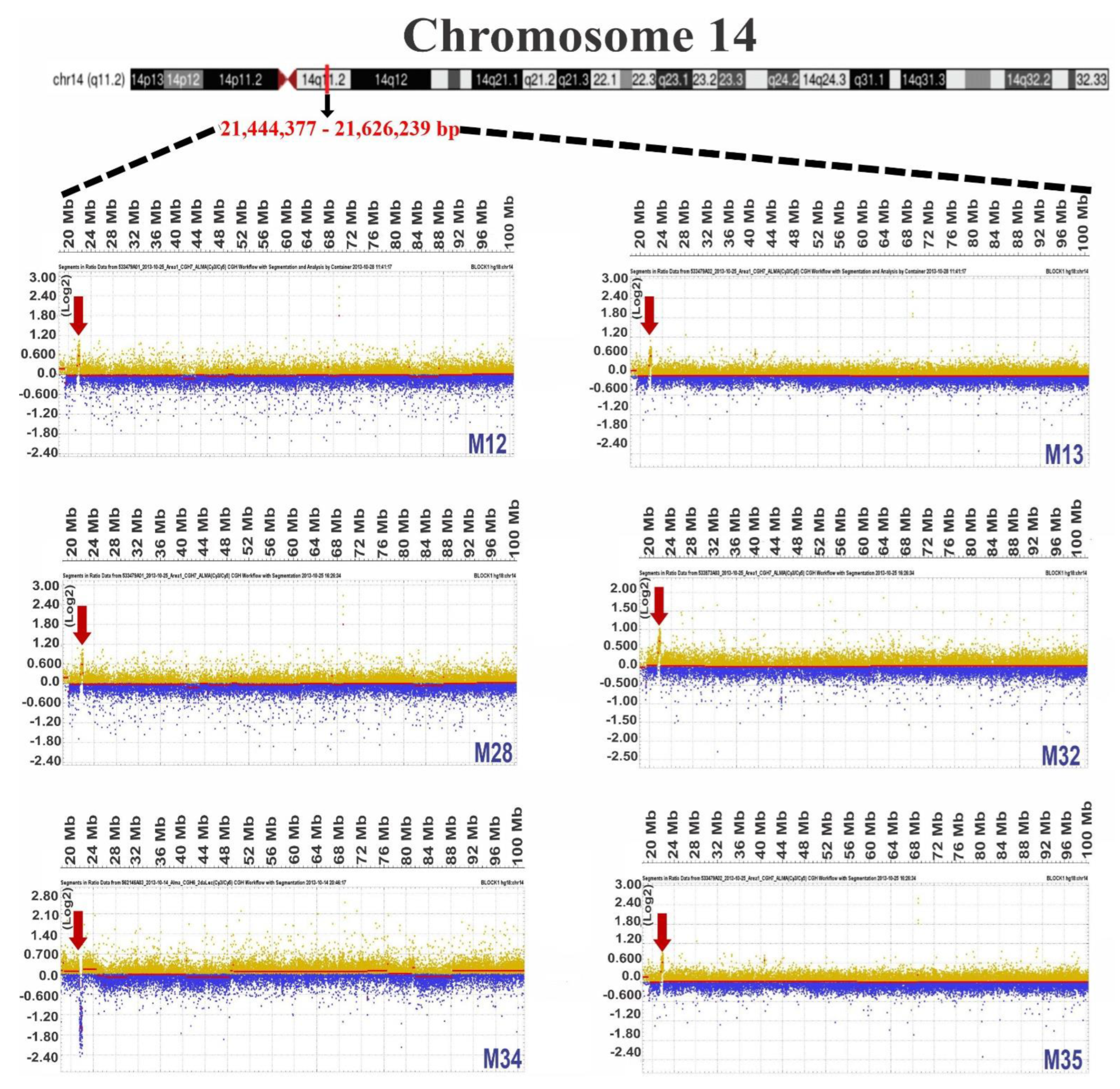 Diagnostics 12 02788 g001
