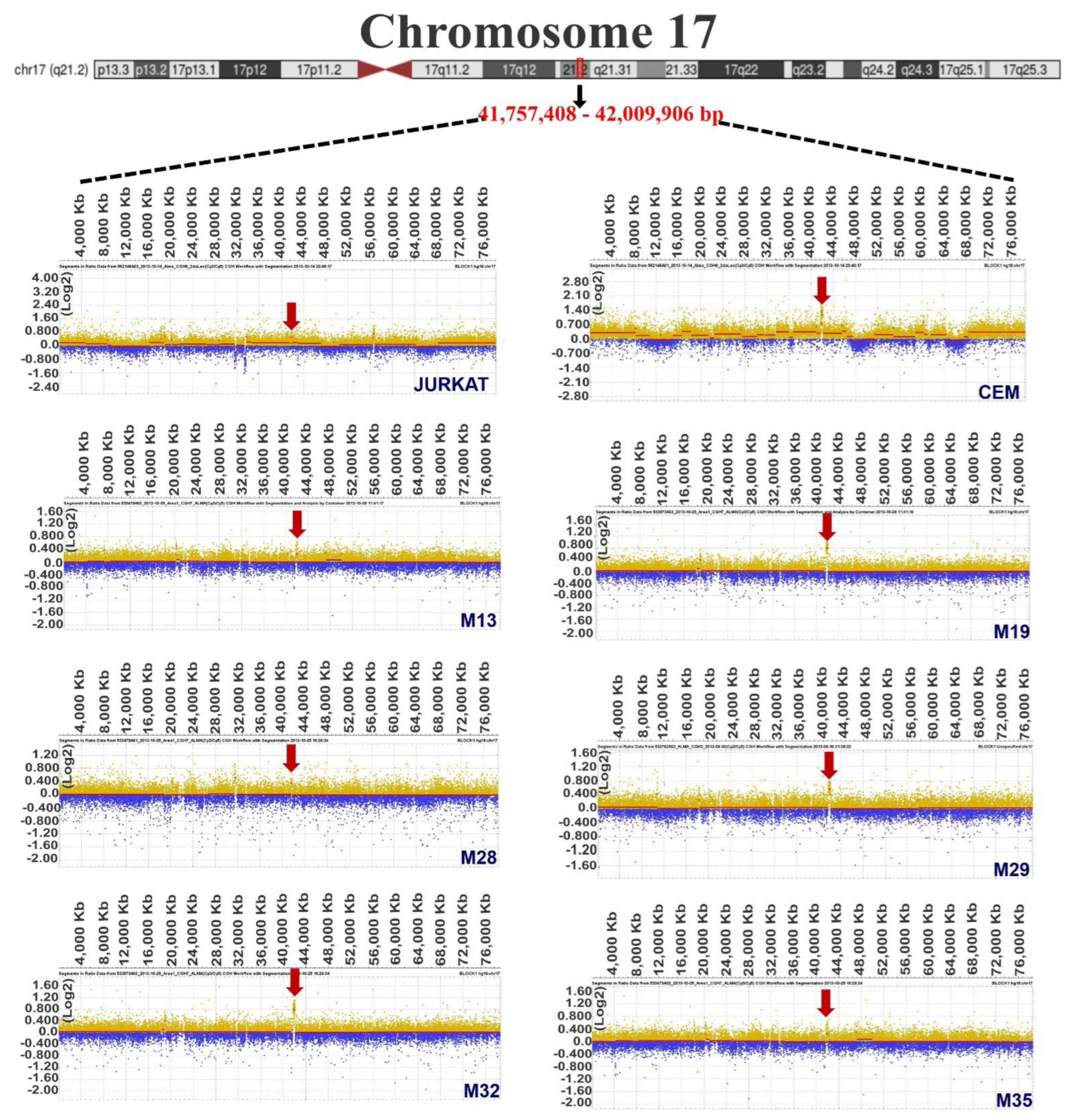 Diagnostics 12 02788 g002