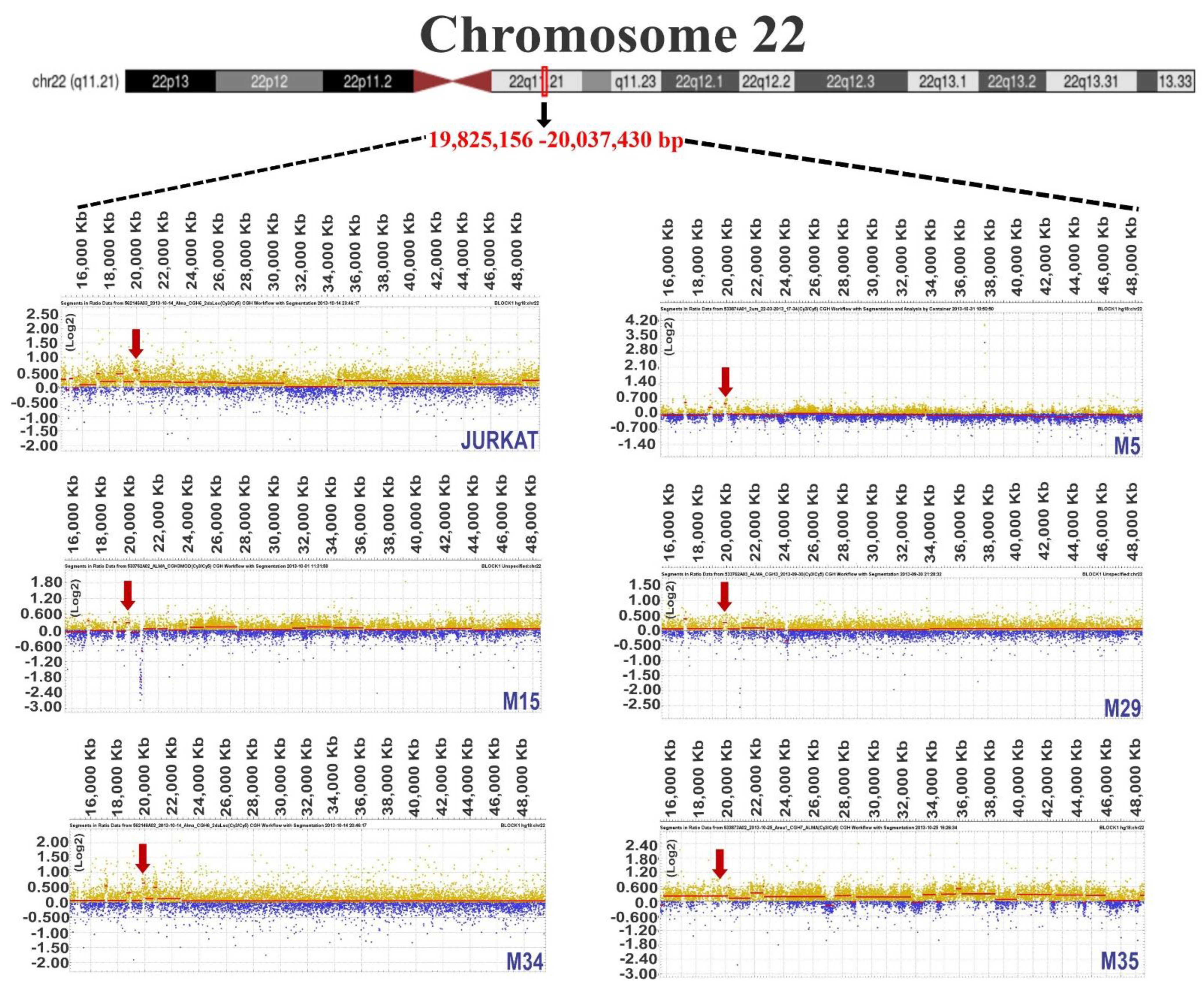 Diagnostics 12 02788 g003