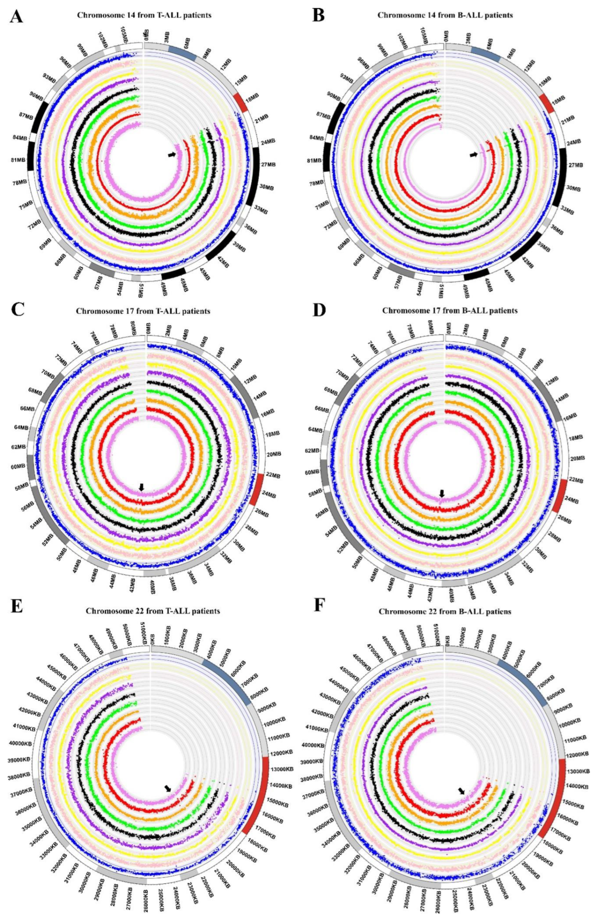 Diagnostics 12 02788 g004
