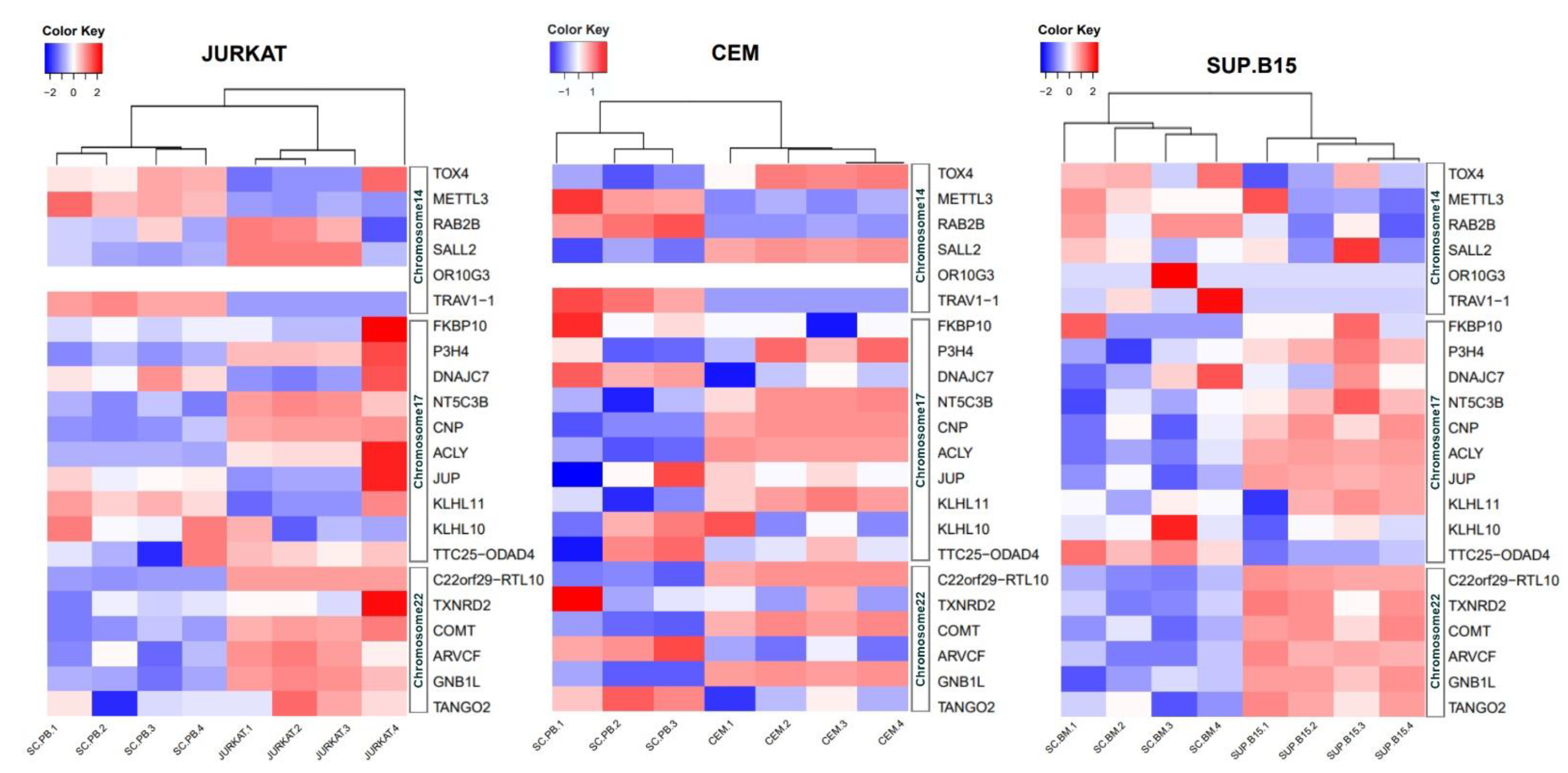 Diagnostics 12 02788 g005