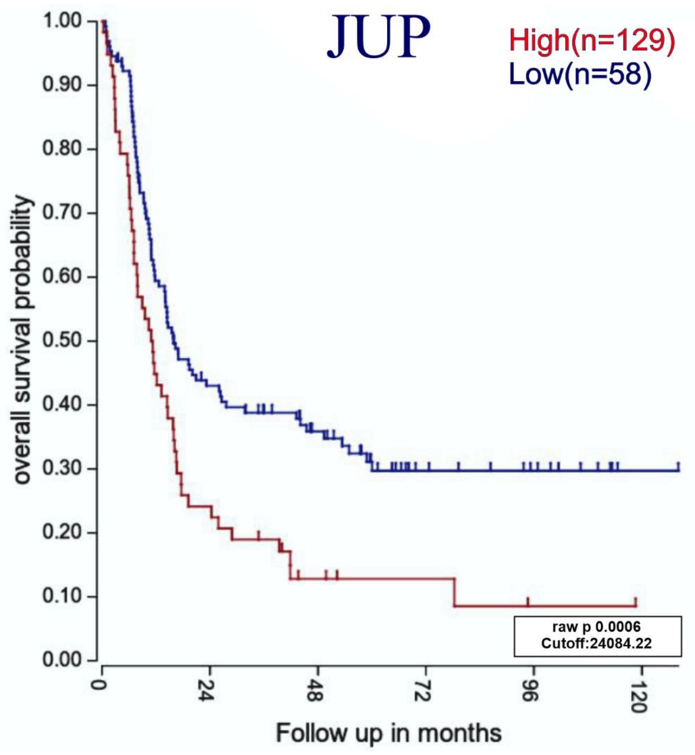 Diagnostics 12 02788 g008