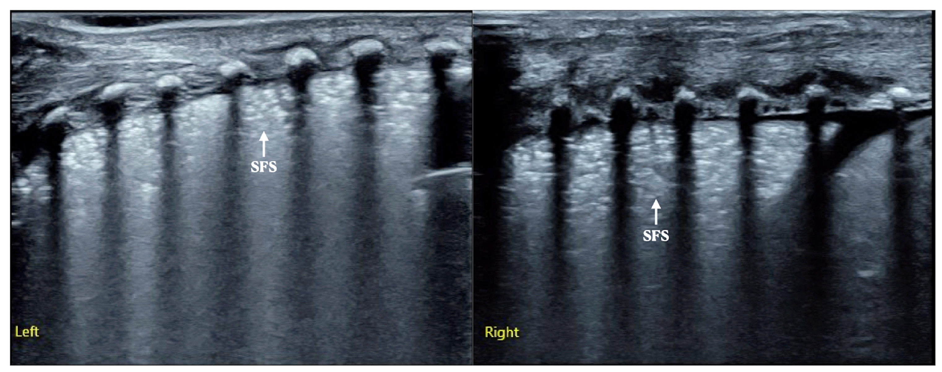 Diagnostics 12 02790 g003