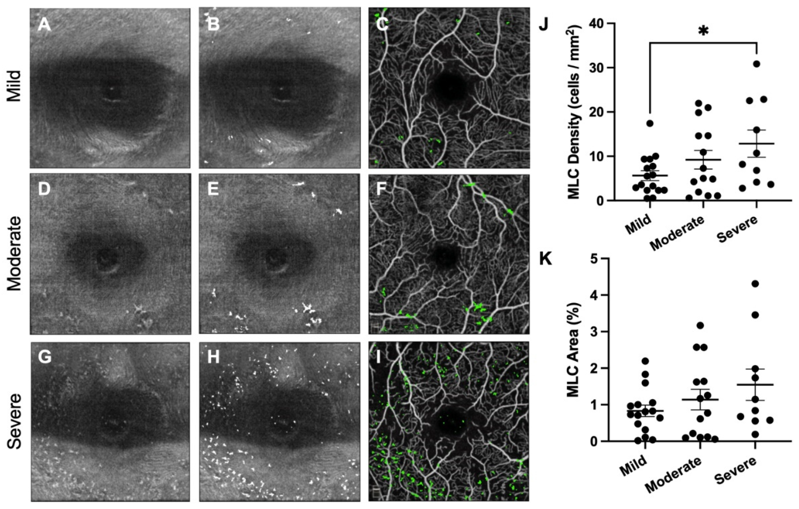 Diagnostics 12 02793 g002 Diagnostics 12 02793 g002