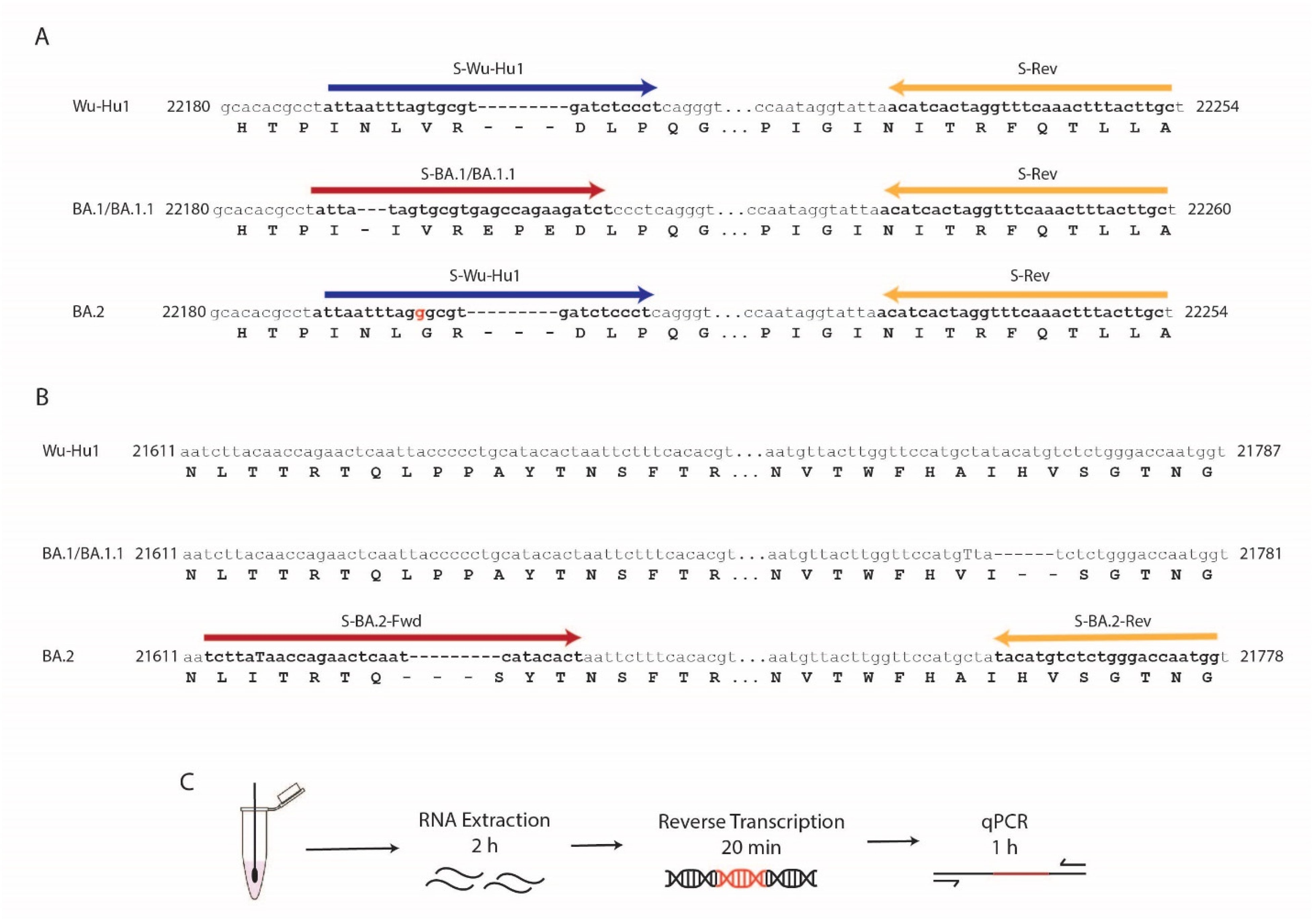 Diagnostics 12 02805 g001 Diagnostics 12 02805 g001