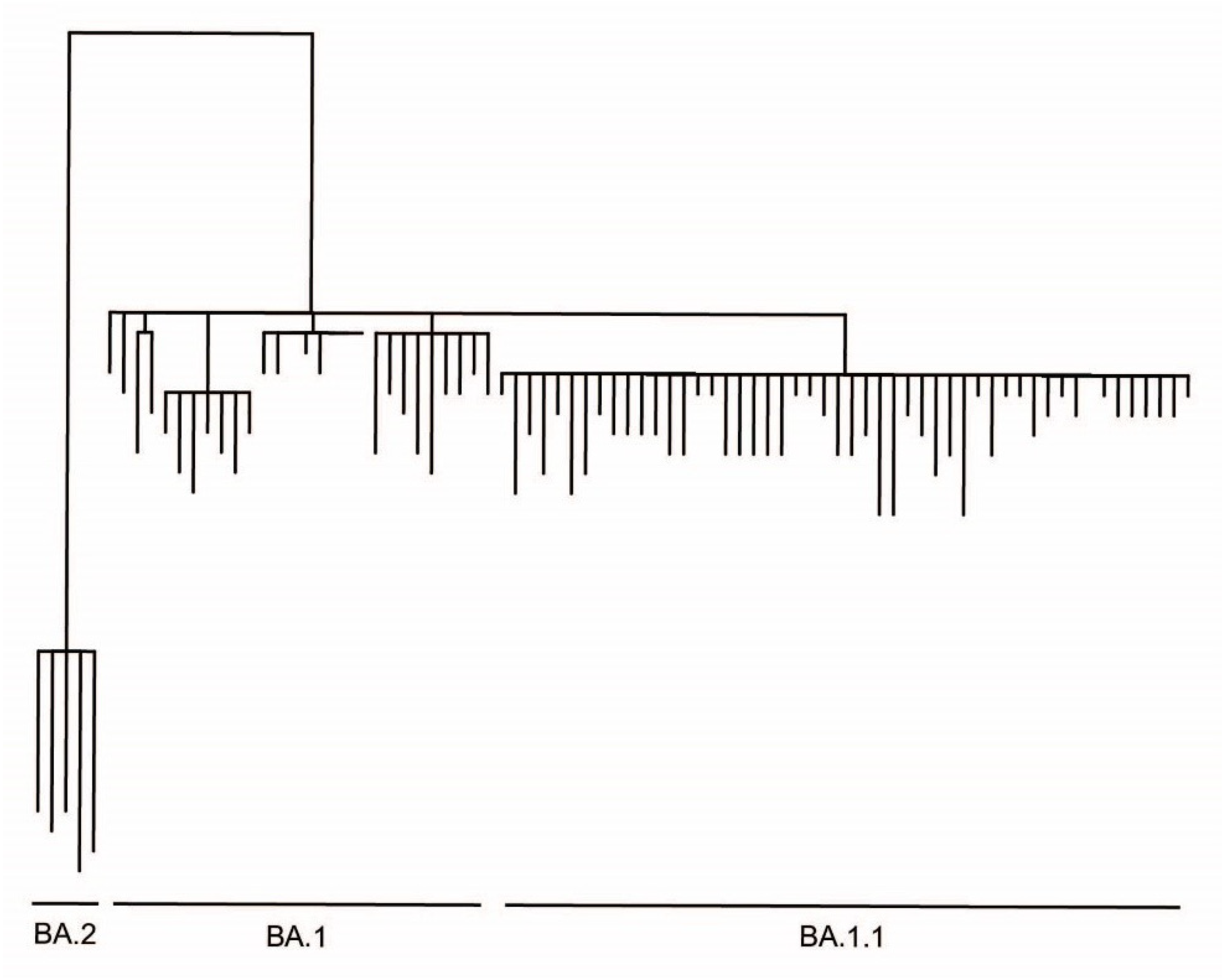 Diagnostics 12 02805 g003 Diagnostics 12 02805 g003
