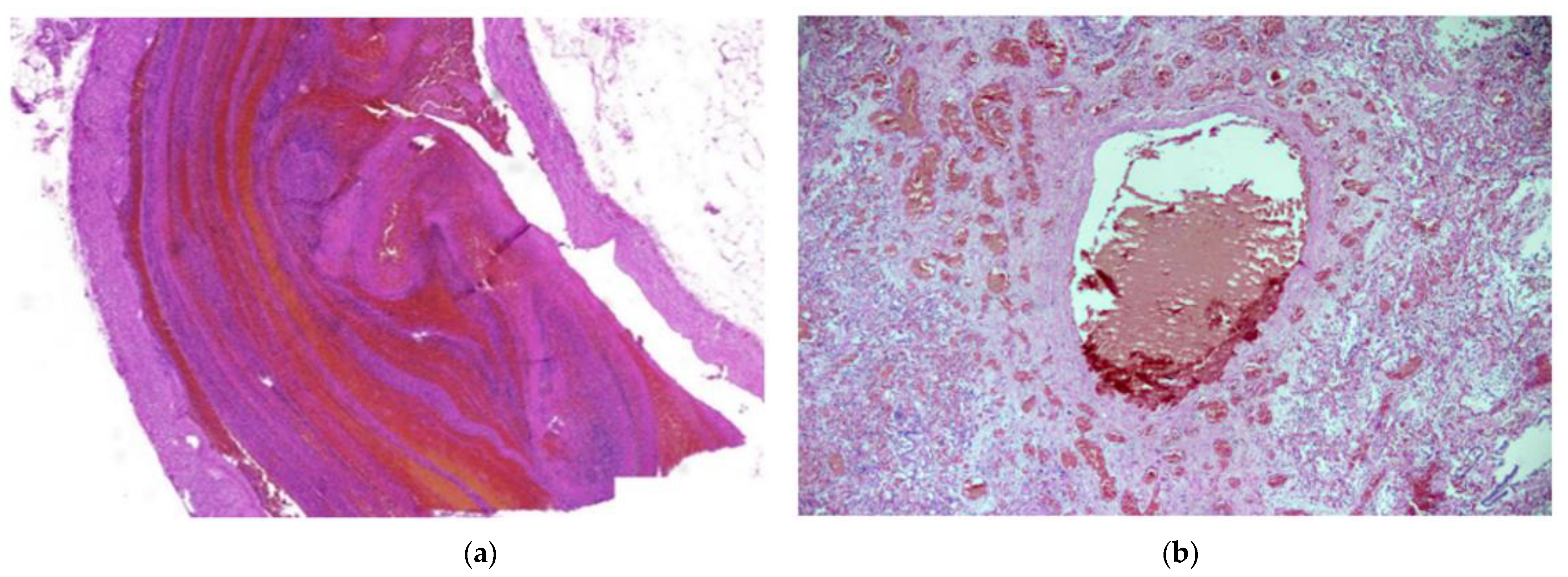 Diagnostics 12 02808 g002