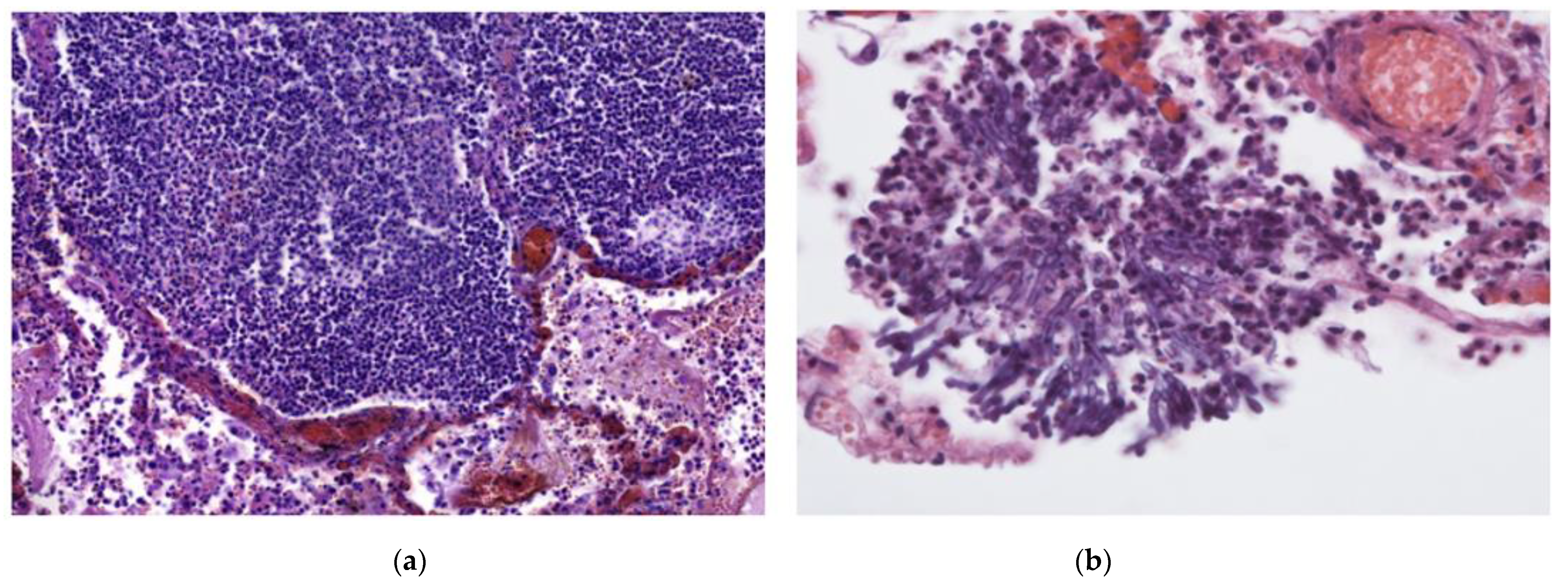 Diagnostics 12 02808 g003