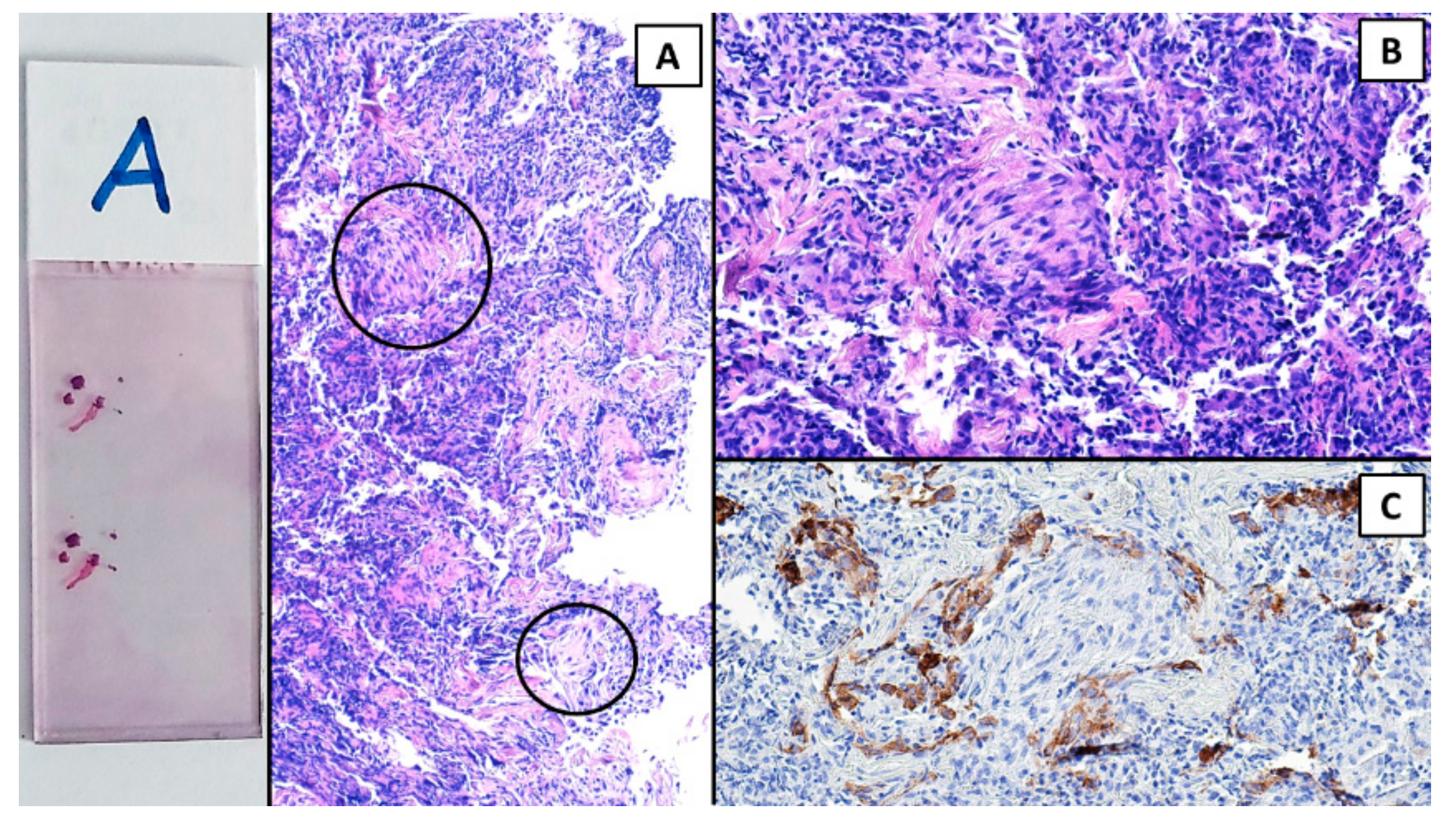 Diagnostics 12 02813 g004