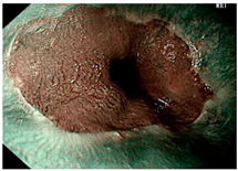 Diagnostics 12 02827 i001