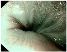 Diagnostics 12 02827 i003