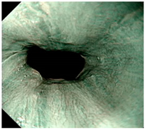 Diagnostics 12 02827 i006