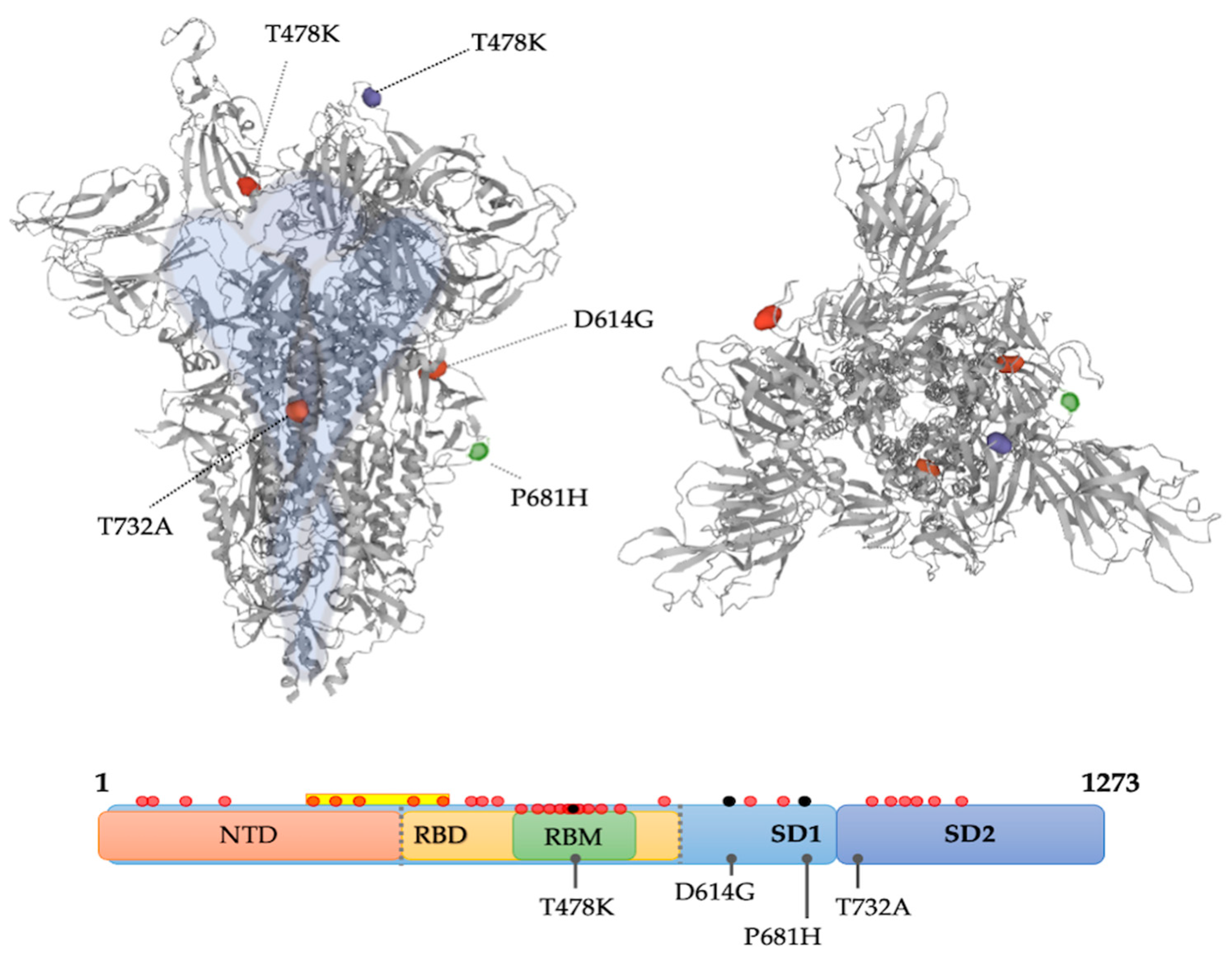 Diagnostics 12 02829 sch001 550