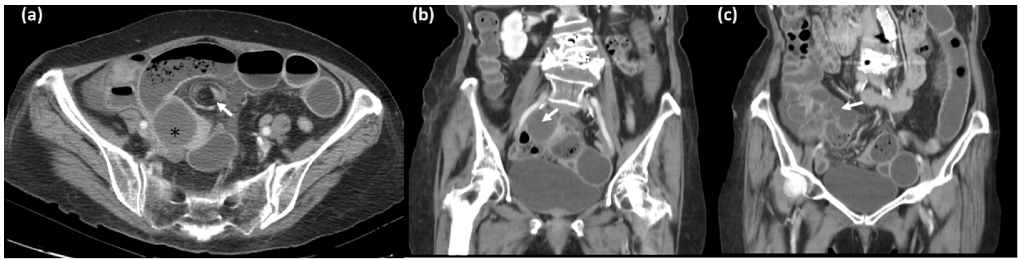 Diagnostics 12 02832 g002