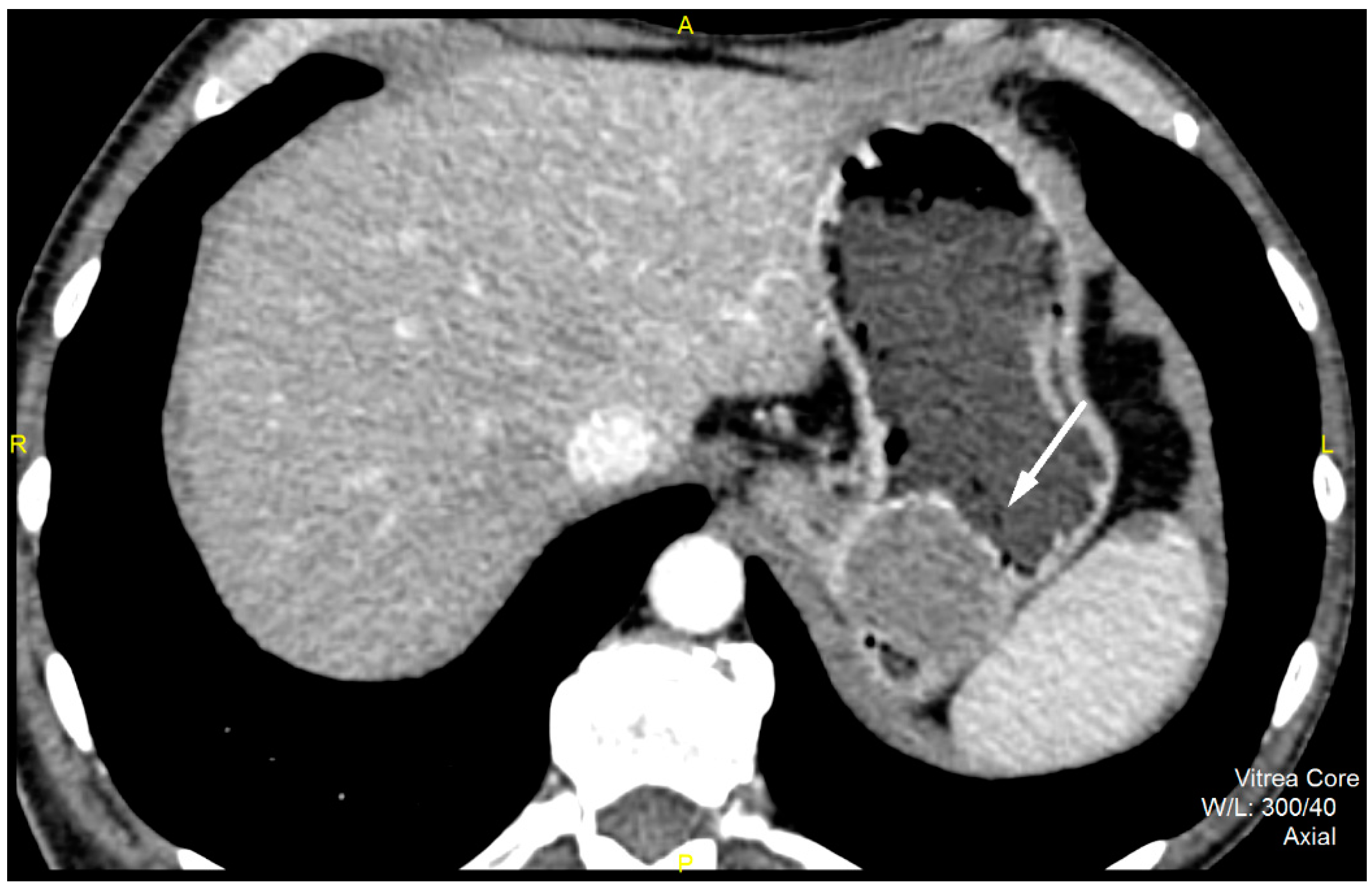 Diagnostics 12 02841 g001