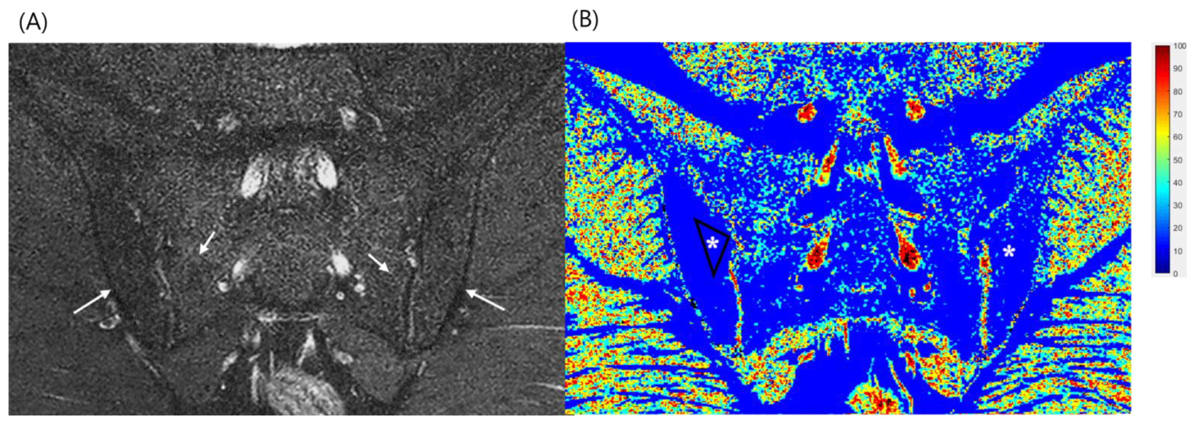 Diagnostics 12 02842 g002 Diagnostics 12 02842 g002