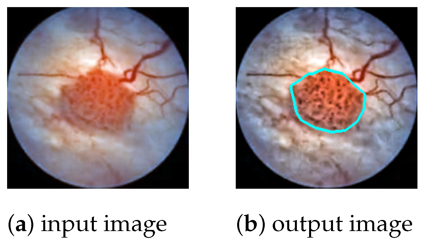 Diagnostics 12 02849 g001