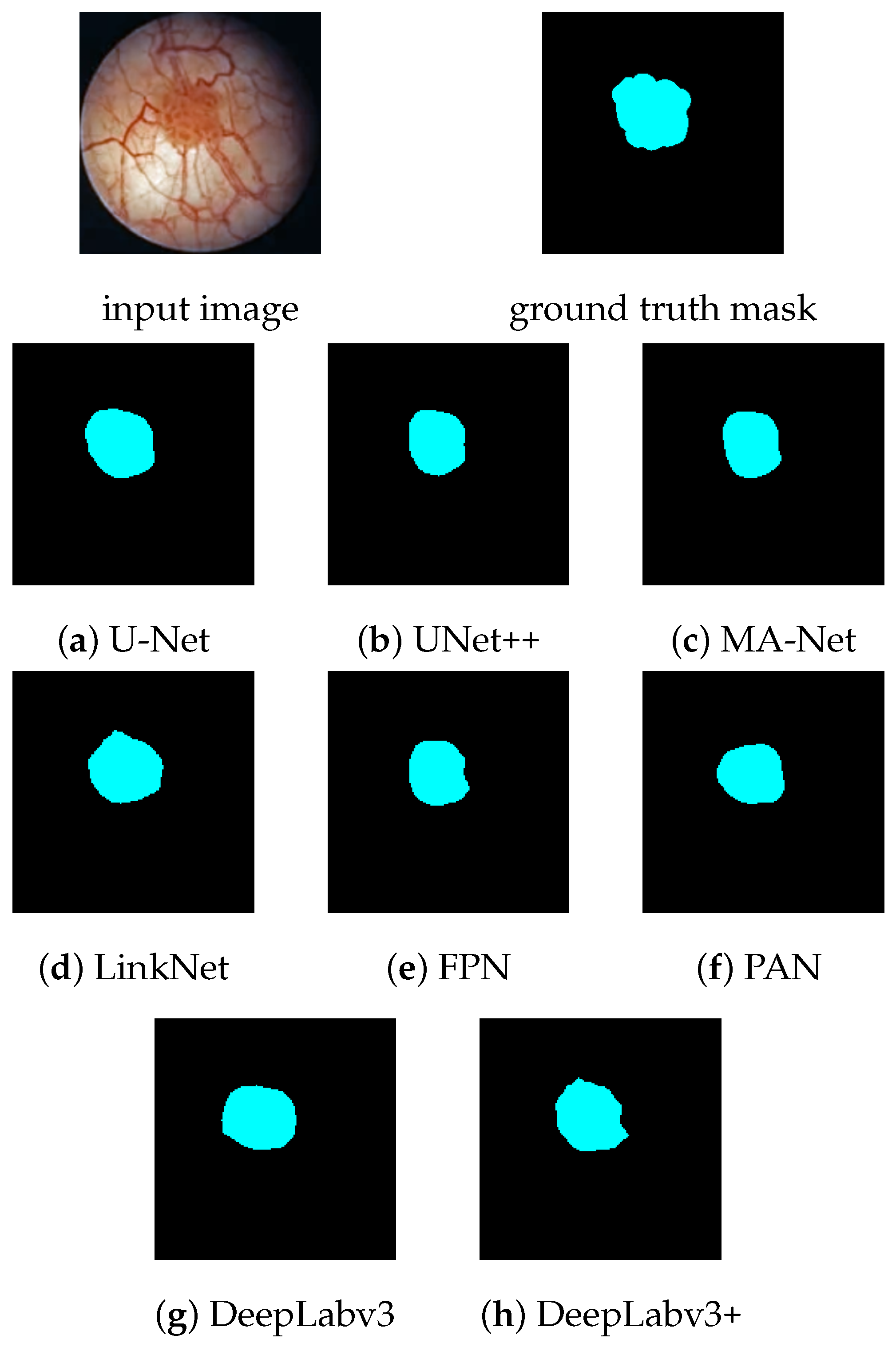 Diagnostics 12 02849 g005