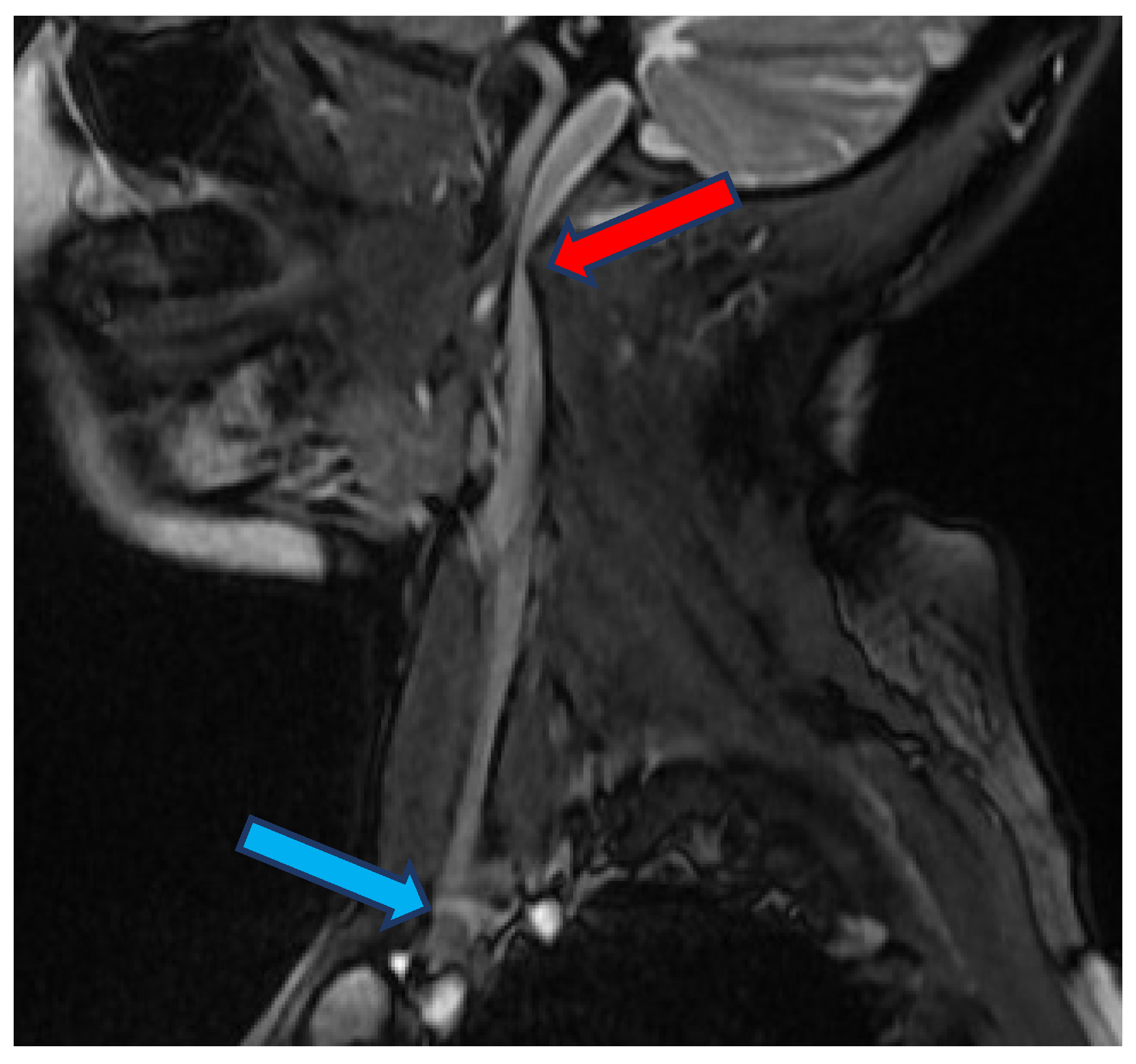 Diagnostics 12 02862 g001 Diagnostics 12 02862 g001