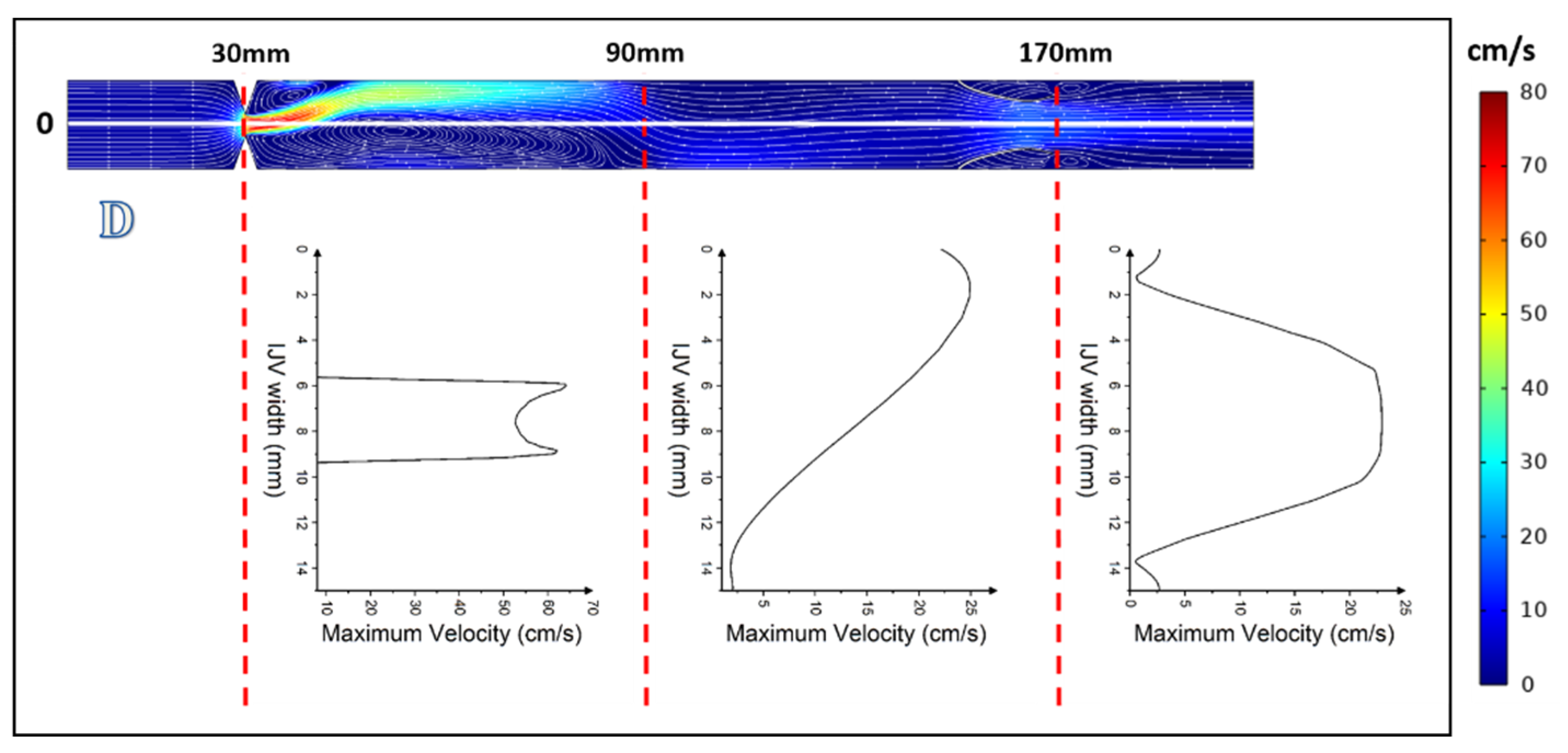Diagnostics 12 02862 g004b Diagnostics 12 02862 g004b