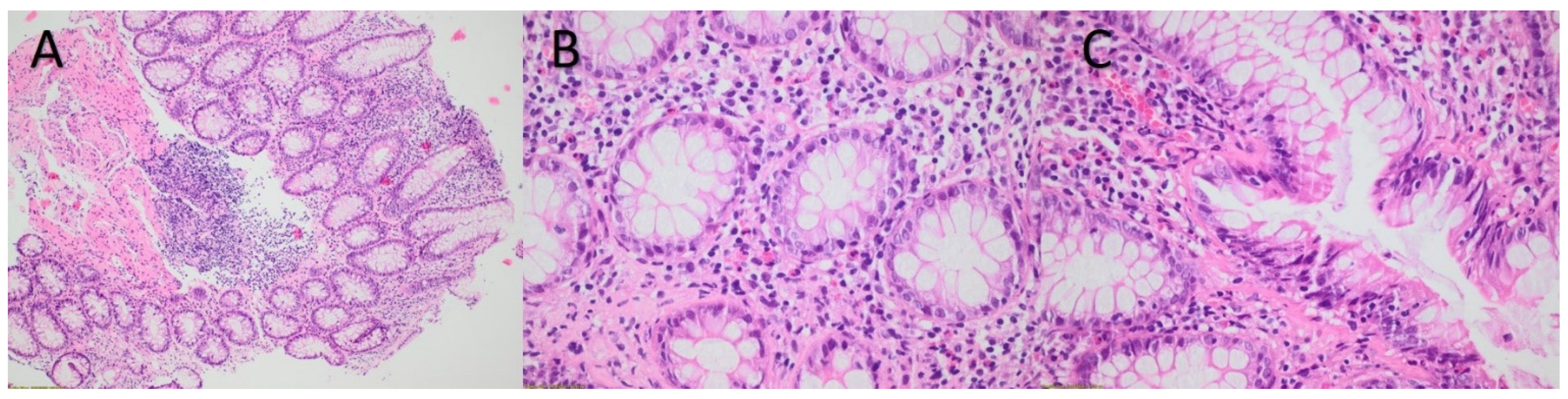 Diagnostics 12 02864 g002 Diagnostics 12 02864 g002