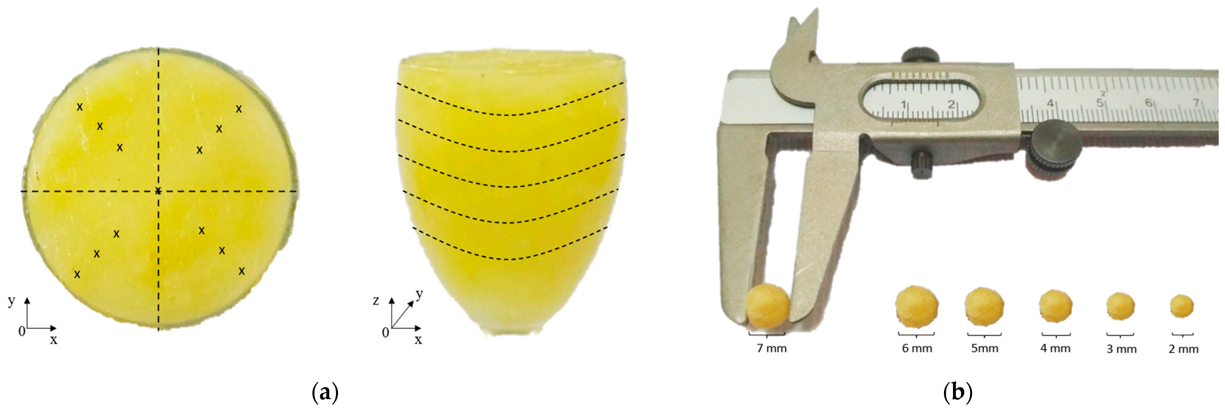 Diagnostics 12 02870 g002 Diagnostics 12 02870 g002