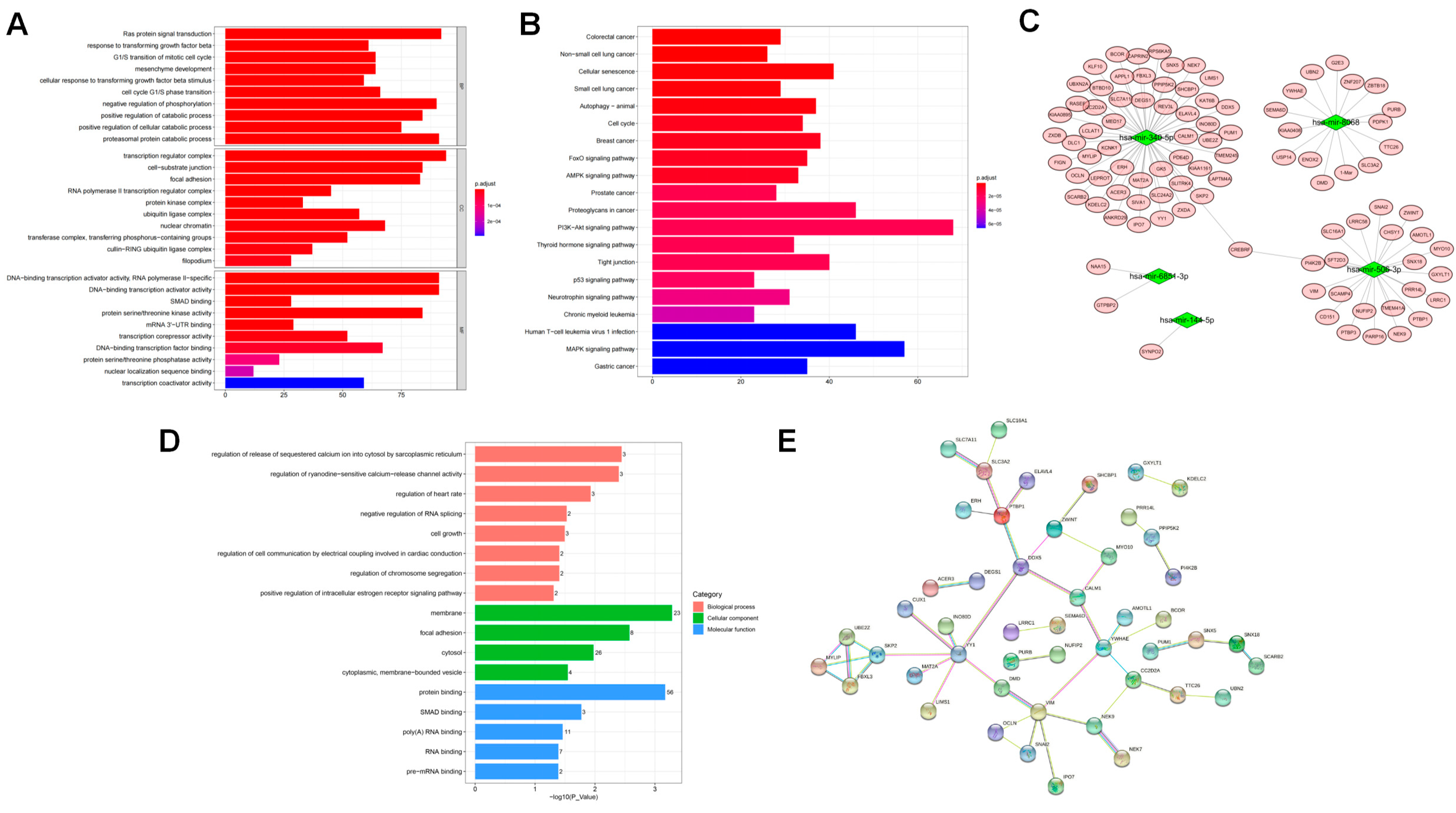 Diagnostics 12 02872 g005 Diagnostics 12 02872 g005