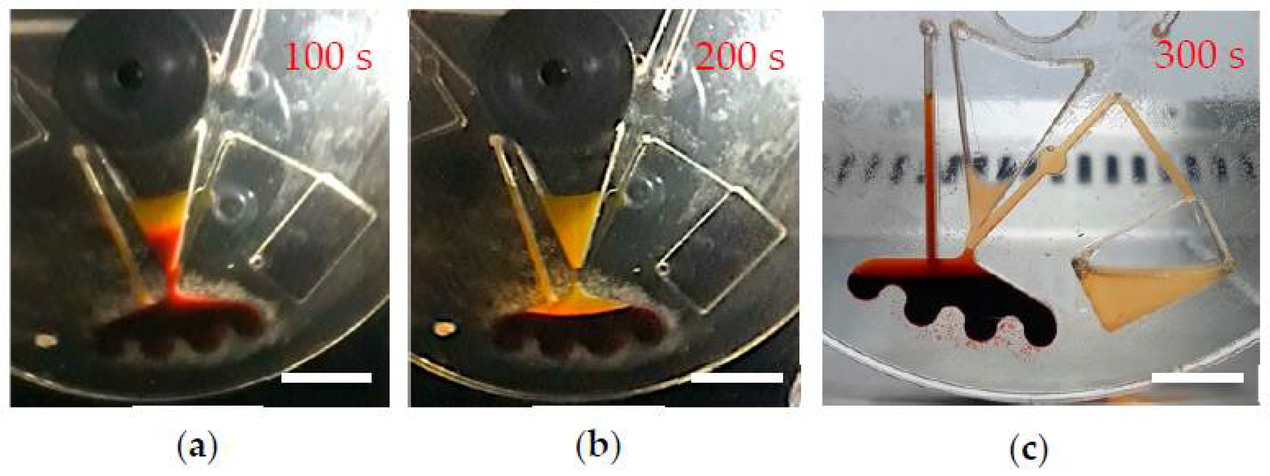 Diagnostics 12 02873 g008 Diagnostics 12 02873 g008