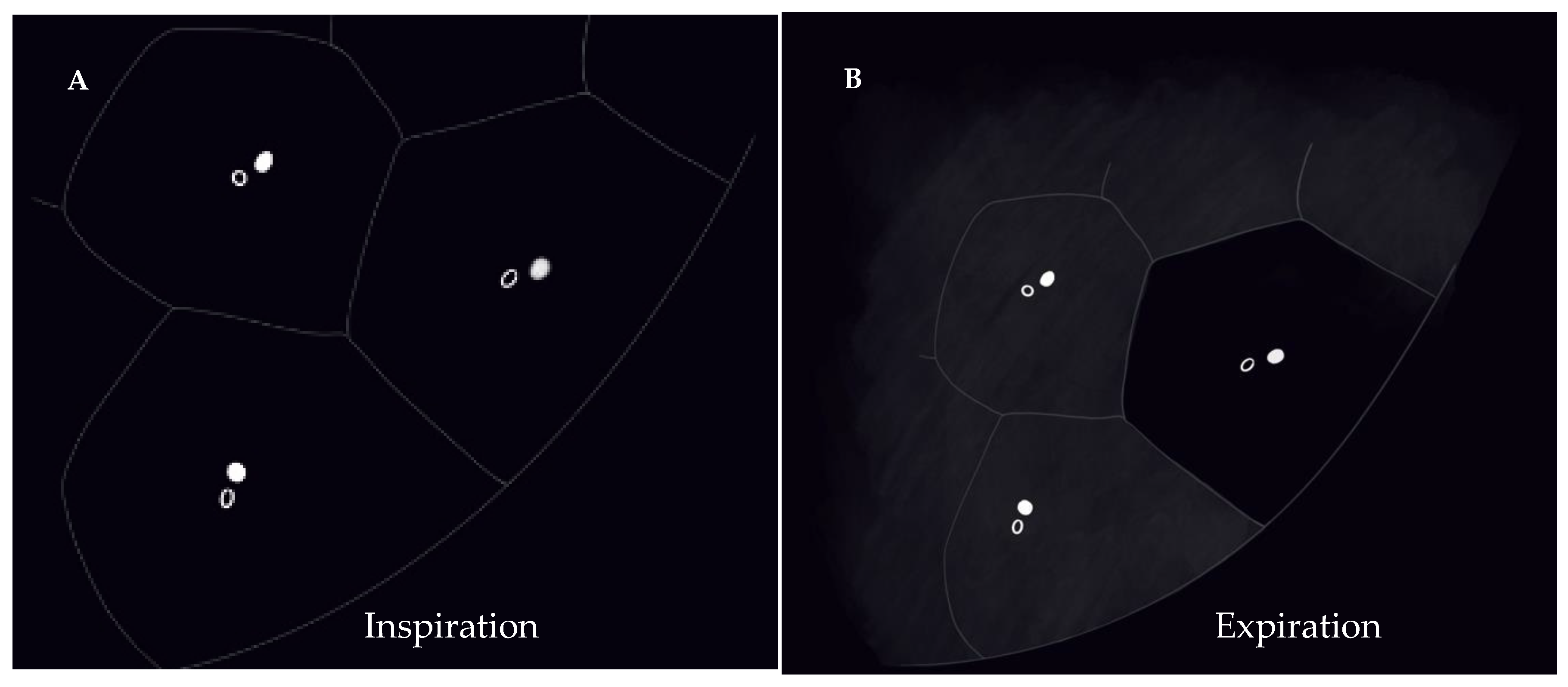 Diagnostics 12 02874 g004a