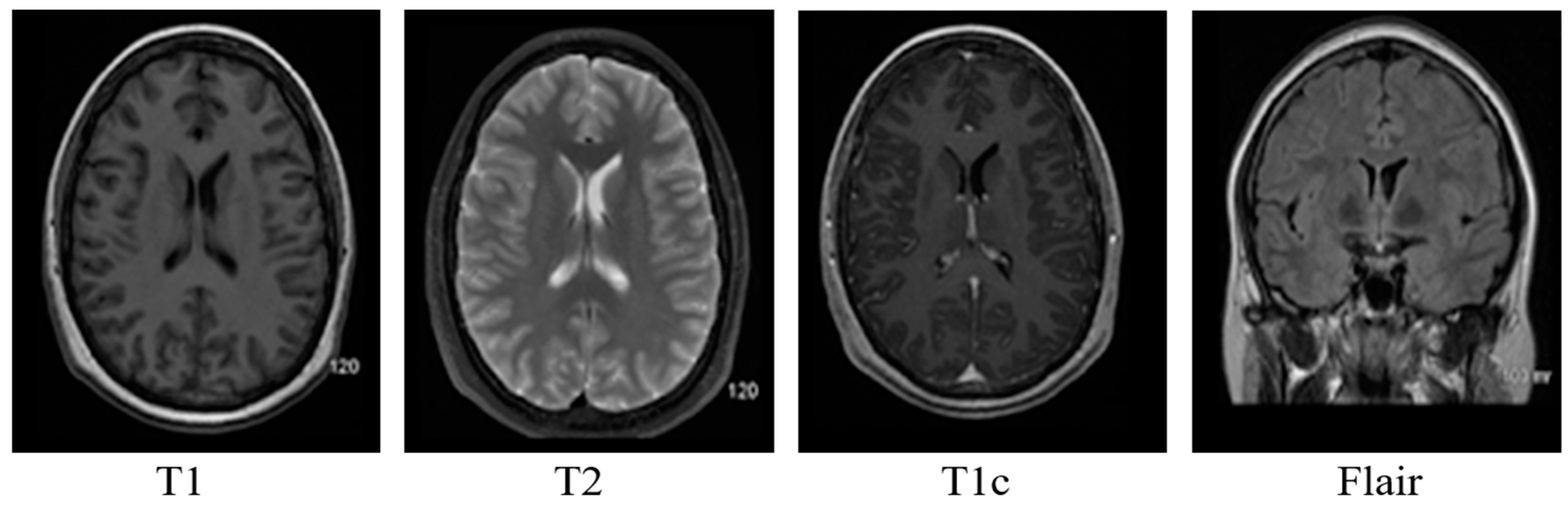 Diagnostics 12 02888 g003