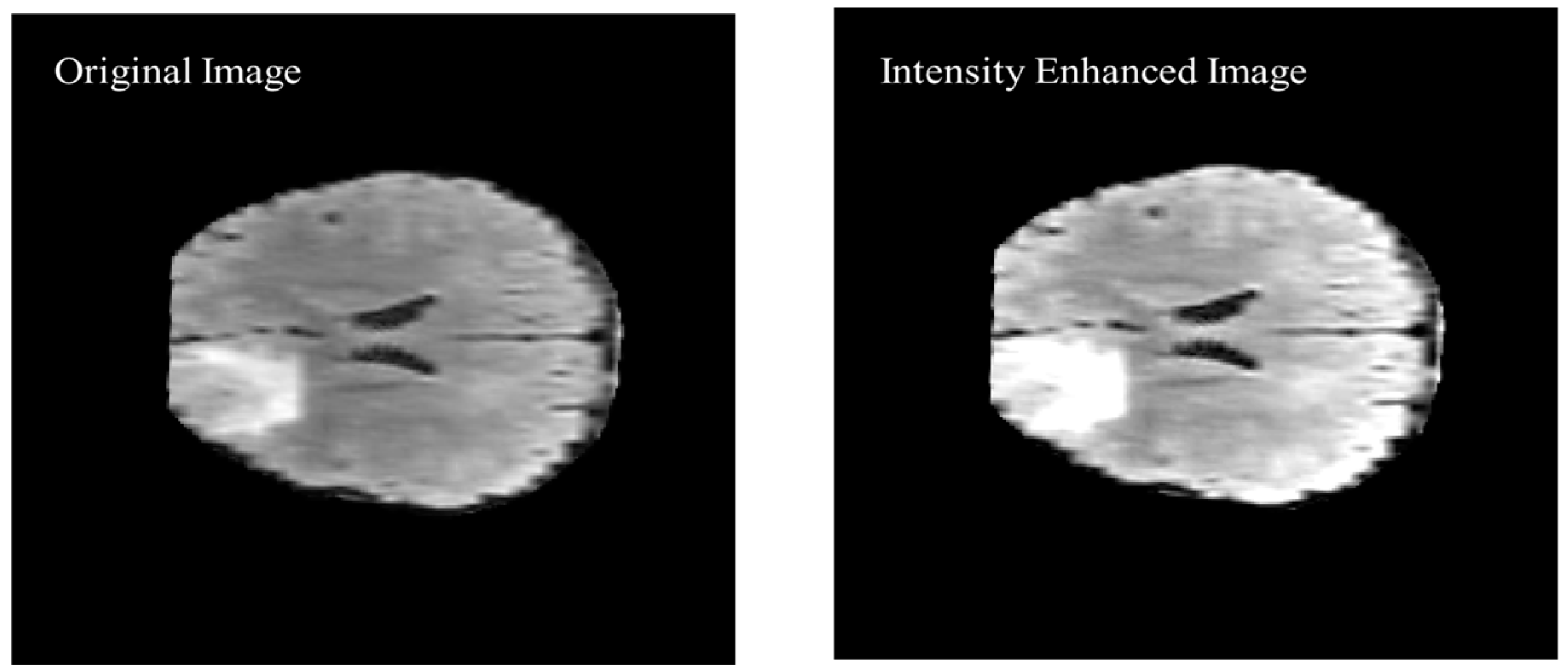 Diagnostics 12 02888 g010