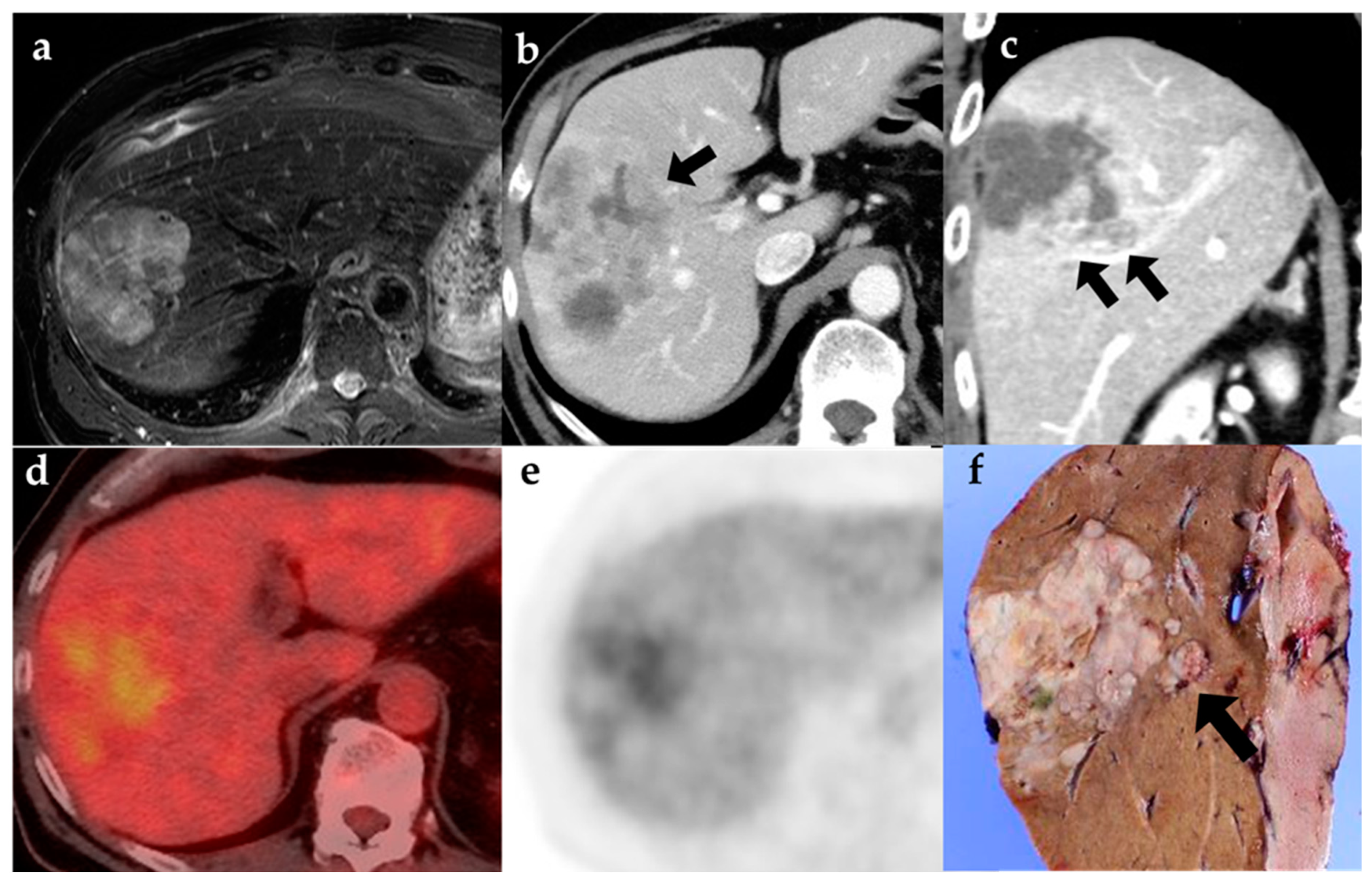 Diagnostics 12 02889 g002