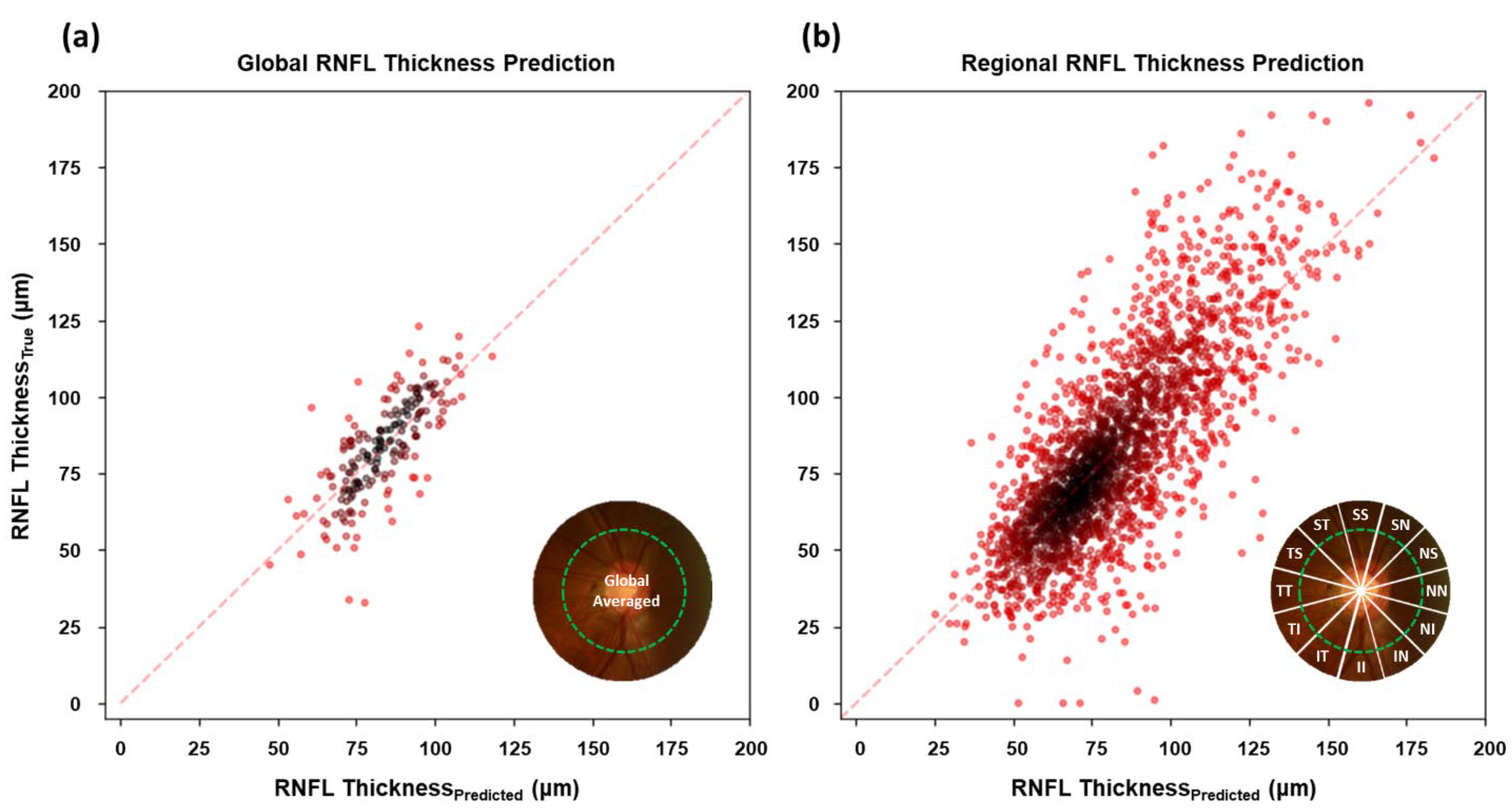 Diagnostics 12 02894 g003 Diagnostics 12 02894 g003
