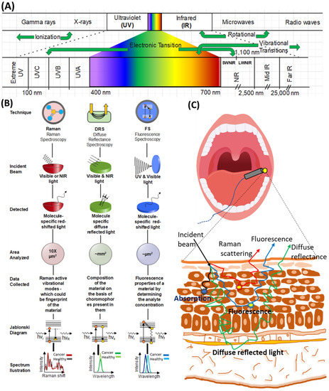 Label-Free Optical Spectroscopy for Early Detection of Oral