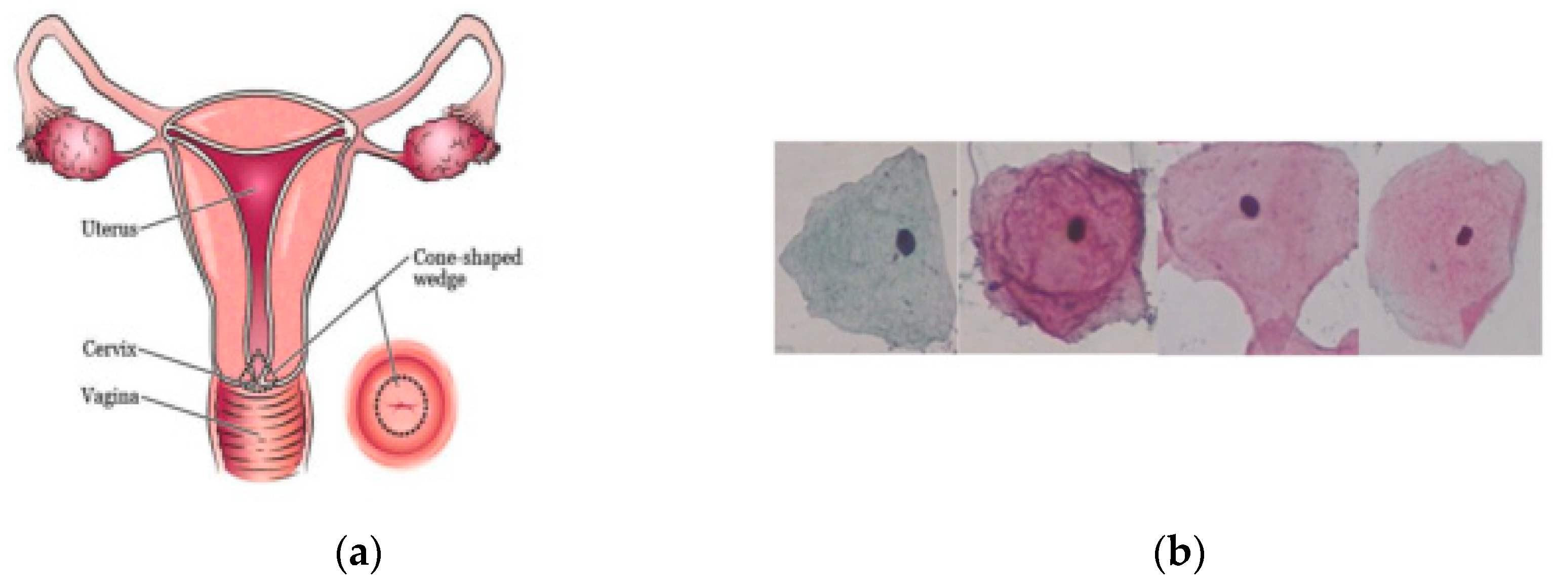 Diagnostics 12 02900 g001 Diagnostics 12 02900 g001